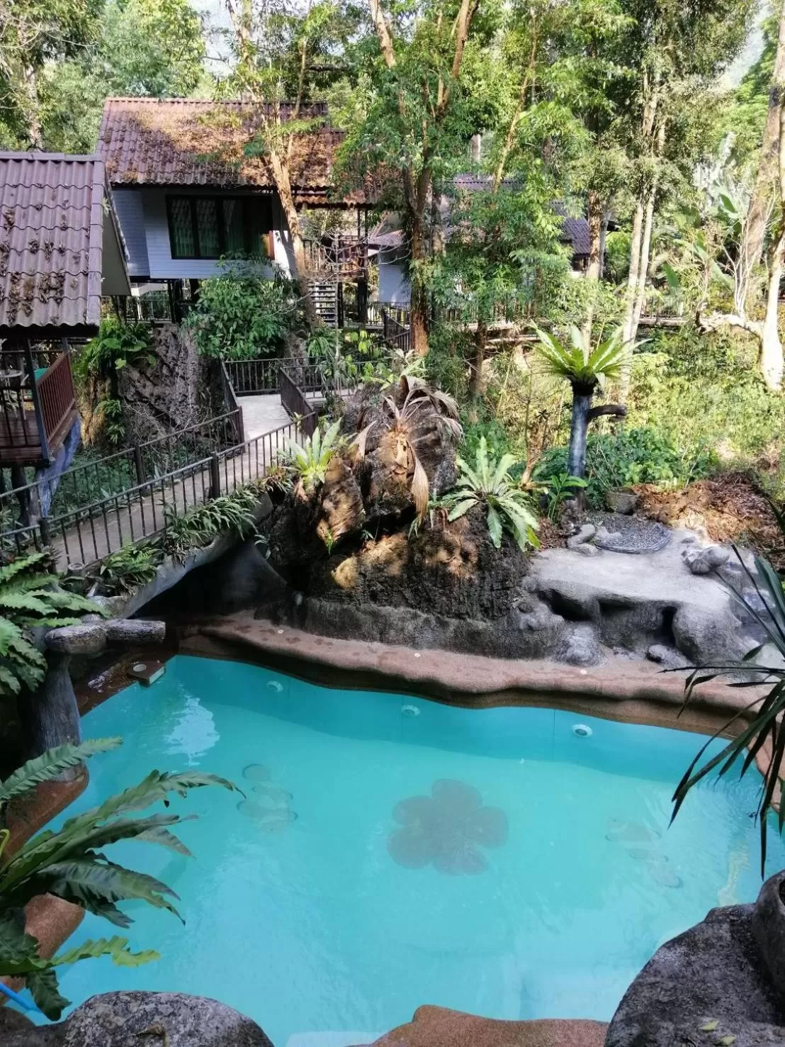 Swimming Pool in Rock and Tree House Resort