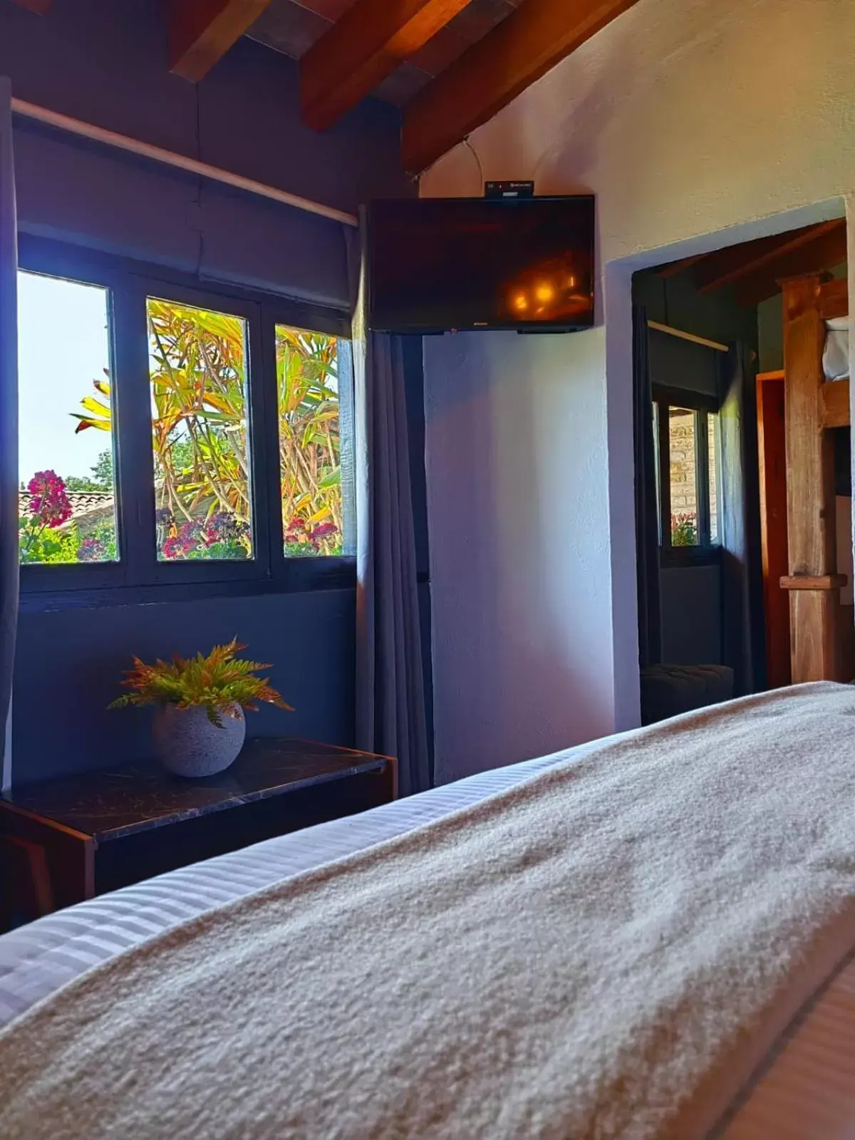 Family Room in Orgánico Hotel Boutique VALLE DE BRAVO Family Room in Orgánico Hotel Boutique VALLE DE BRAVO