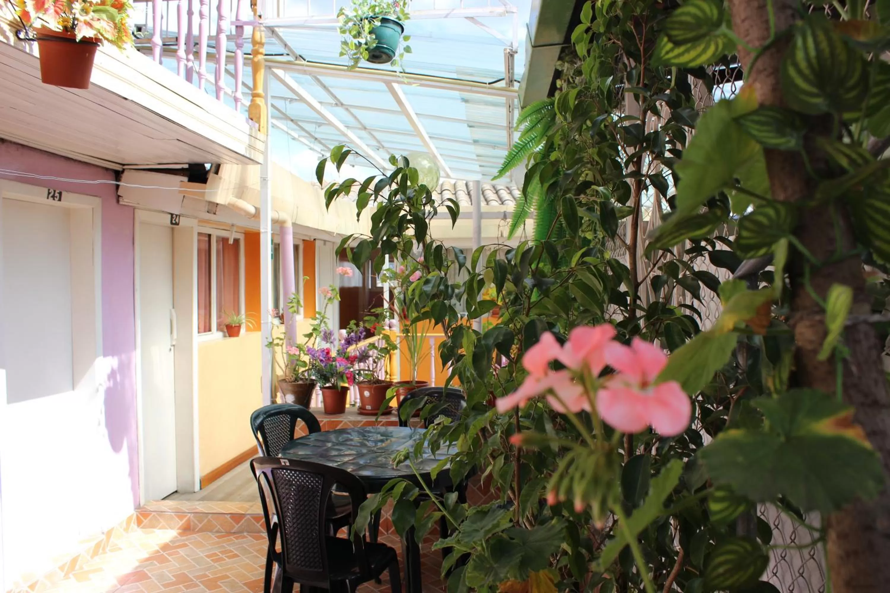 Day in Hostal Yumbo Imperial