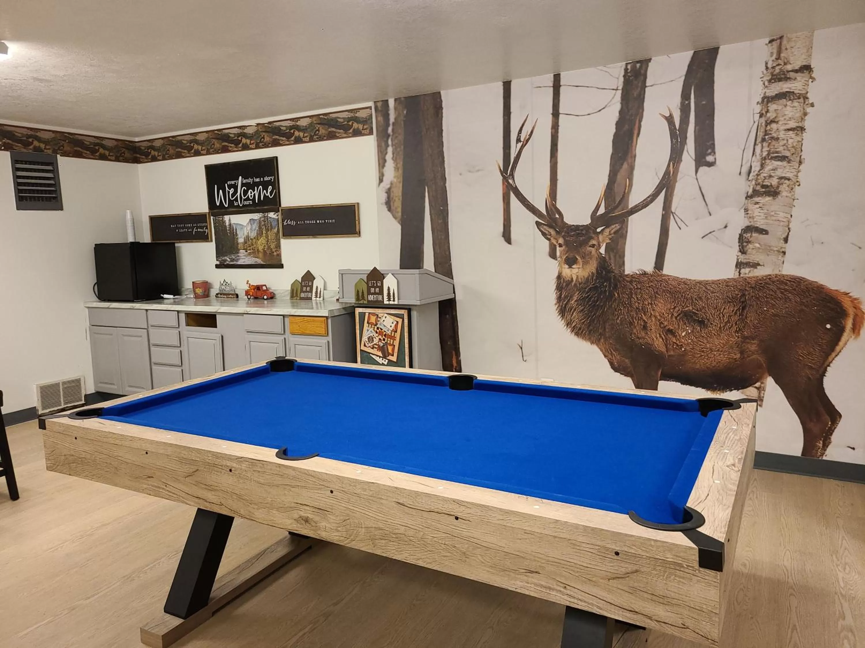 Game Room in Jefferson Inn