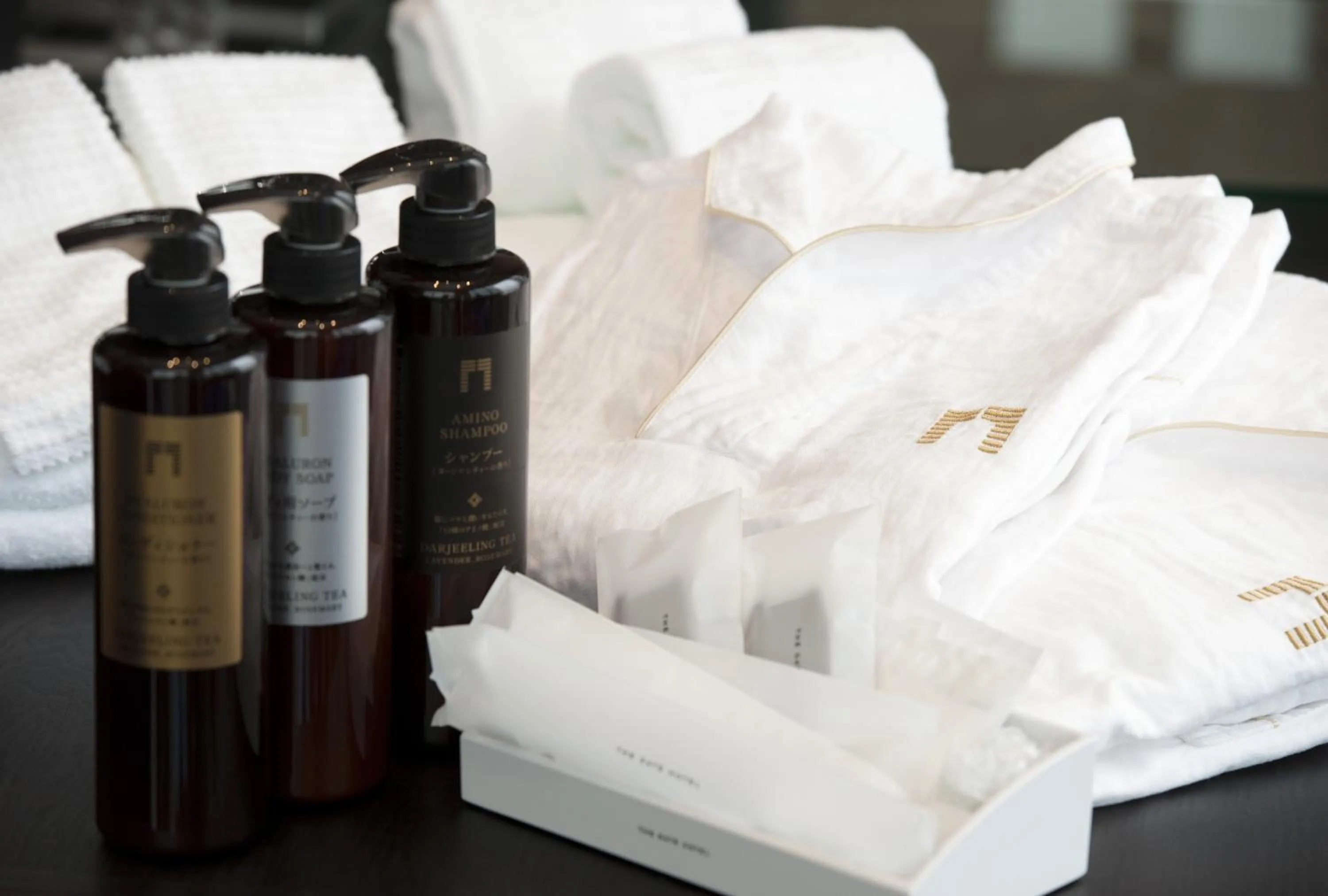 Other in The Gate Hotel Kaminarimon by Hulic