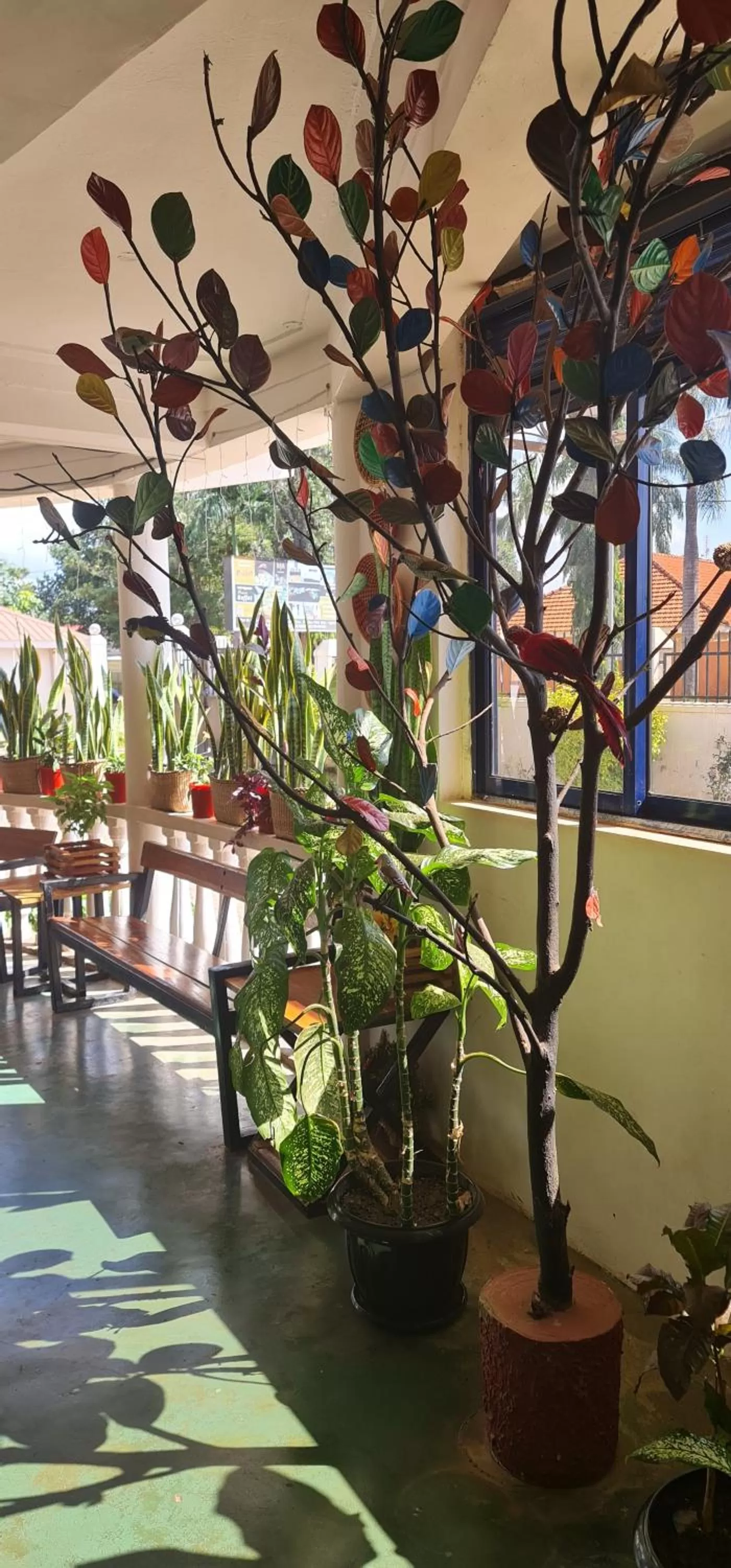 Lobby or reception in Northern Pearl