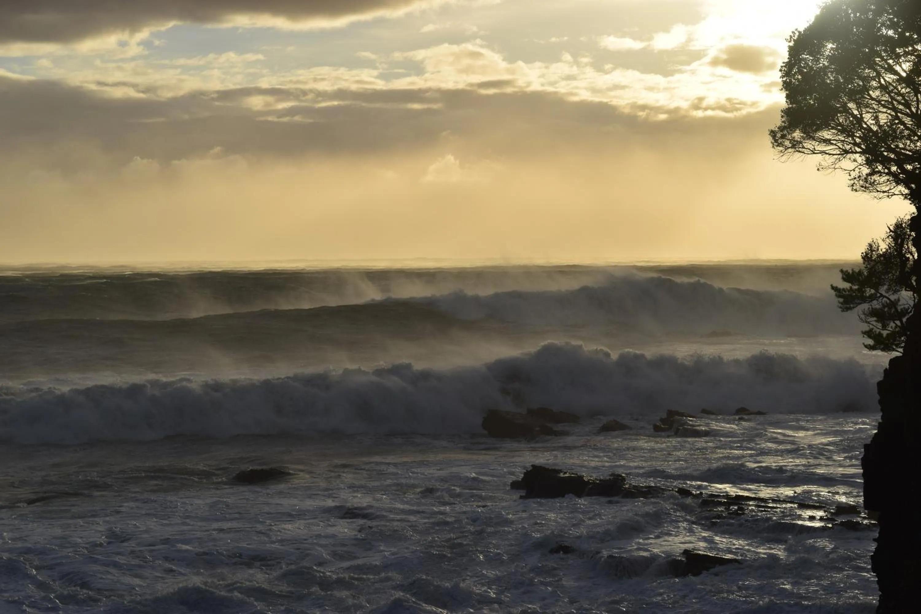 Natural landscape in XYZ Private Spa and Seaside Resort