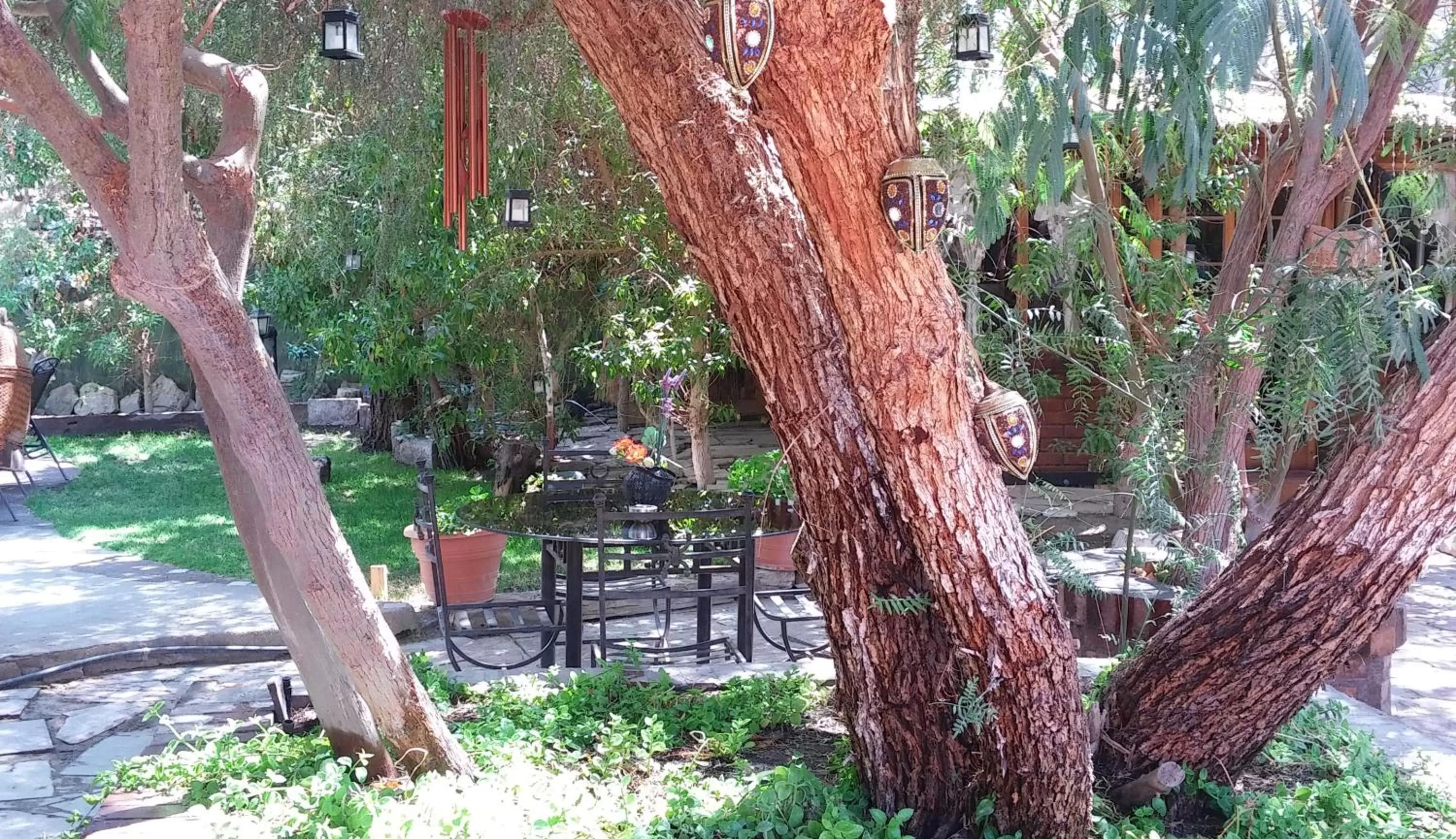 Garden in Atankalama