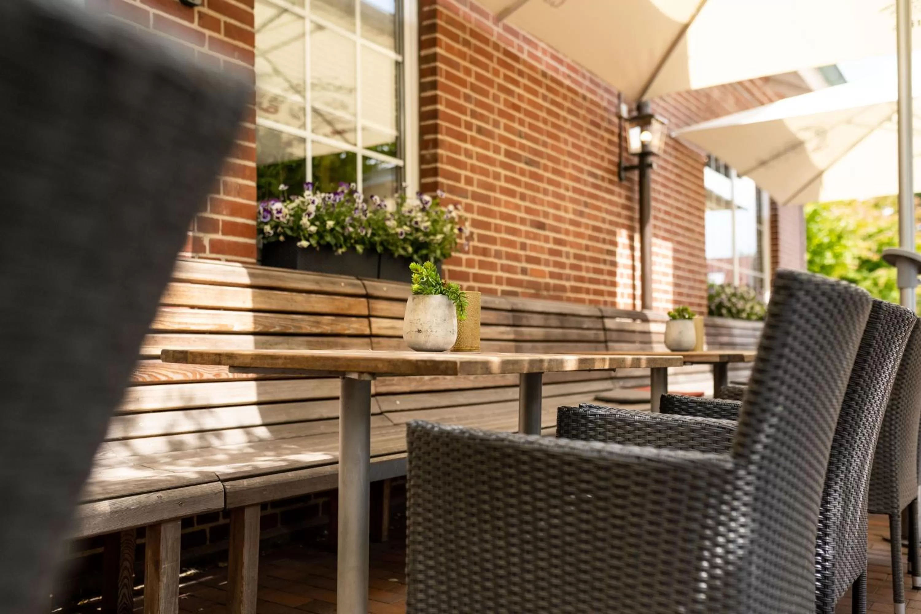 Restaurant/places to eat in Hotel Rheinischer Hof