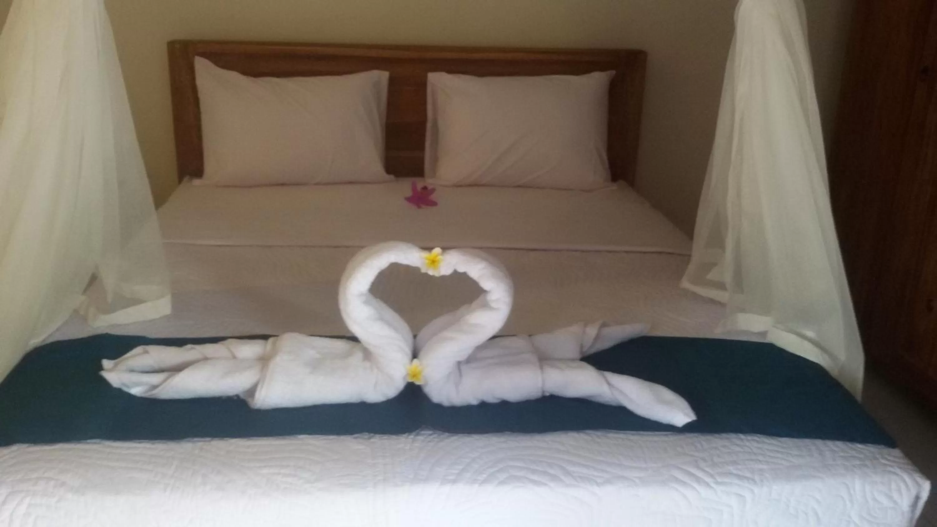 Bedroom, Room Photo in Suka's House Bed & Breakfast