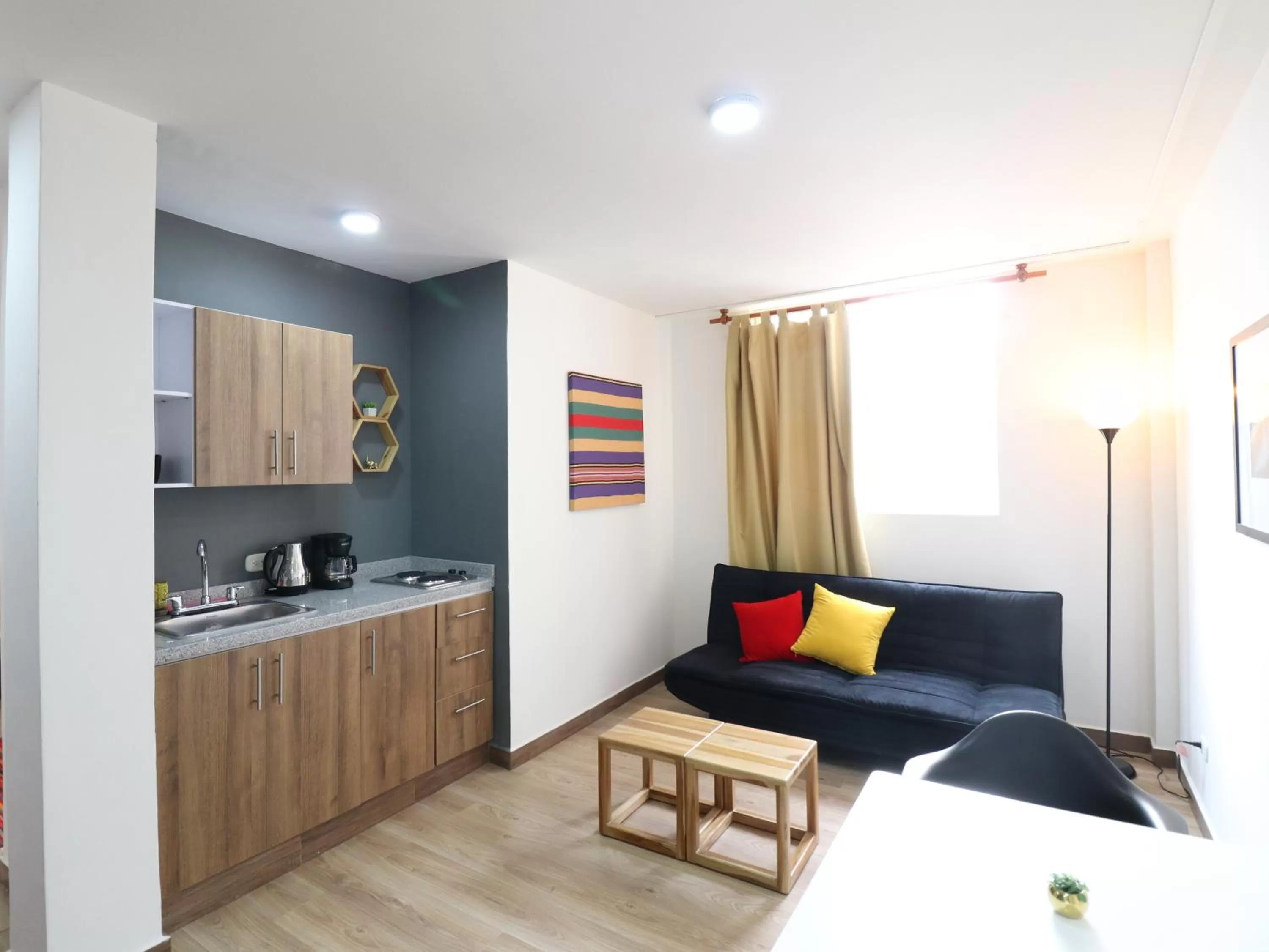 Living room, Kitchen/Kitchenette in 554 Apartments
