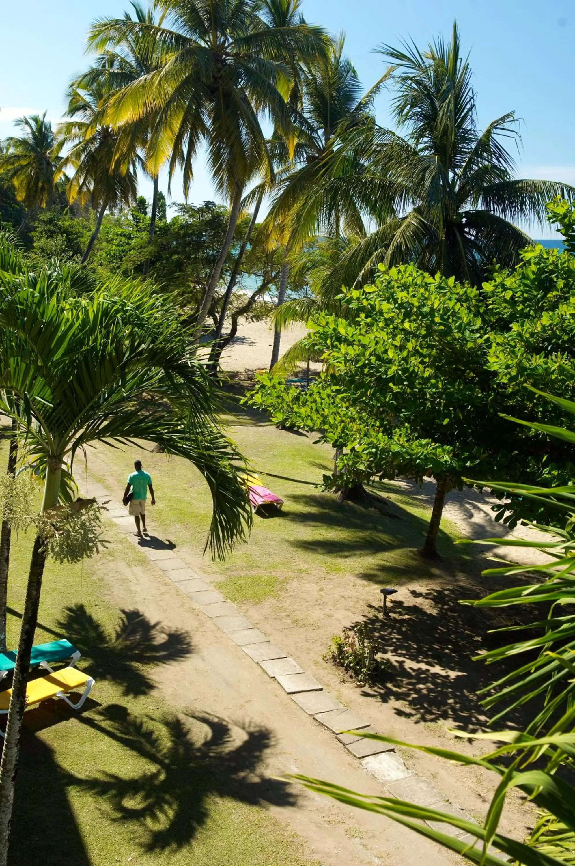 Day in Starfish Tobago