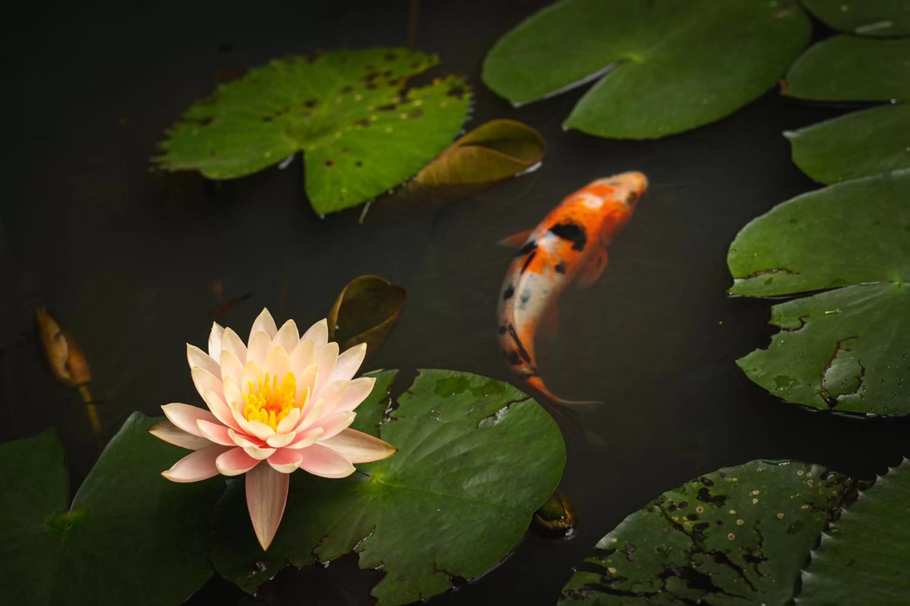 Decorative detail in Posada La Presa