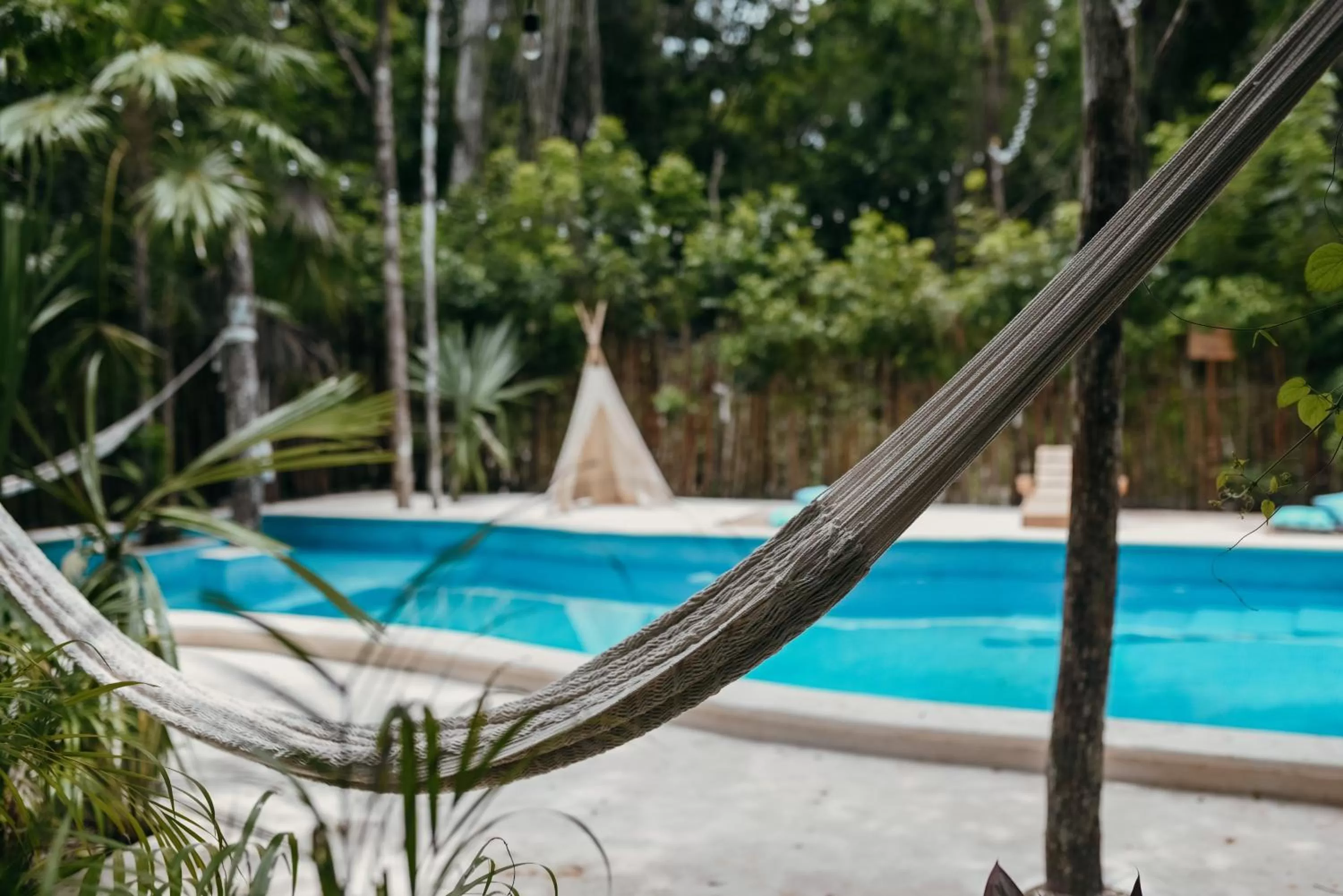 Swimming Pool in Lunita Jungle Experience