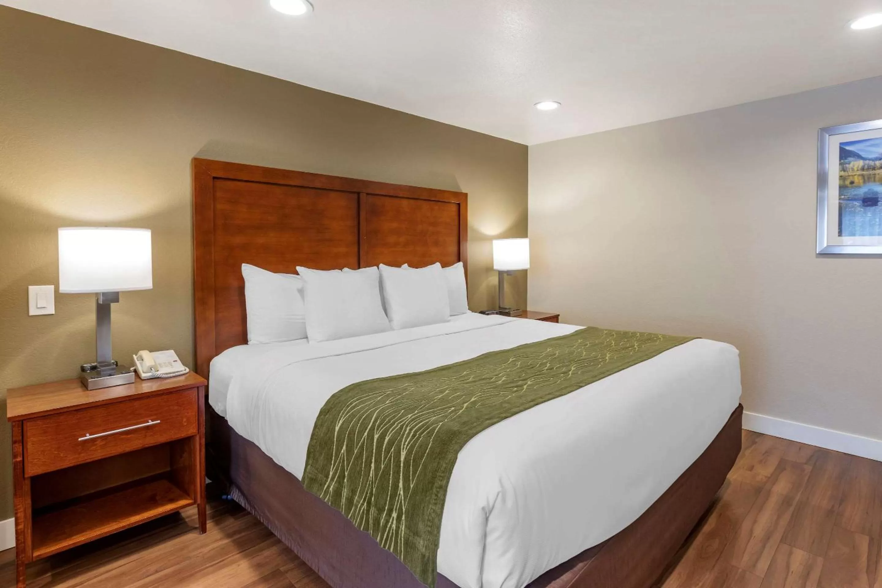 Photo of the whole room, Bed in Comfort Inn Bishop