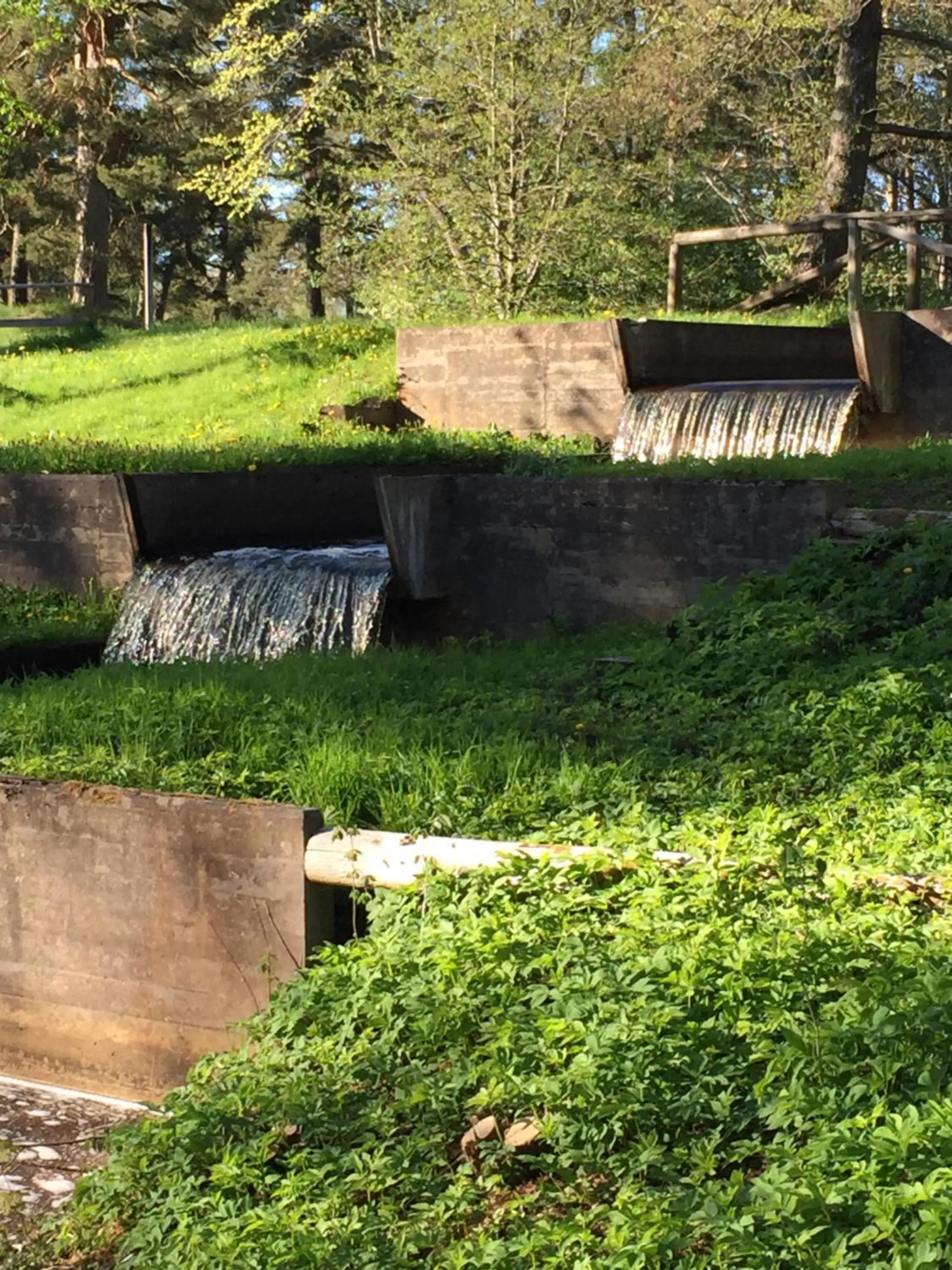 Natural landscape, Garden in KvarnDammens Bed & Breakfast