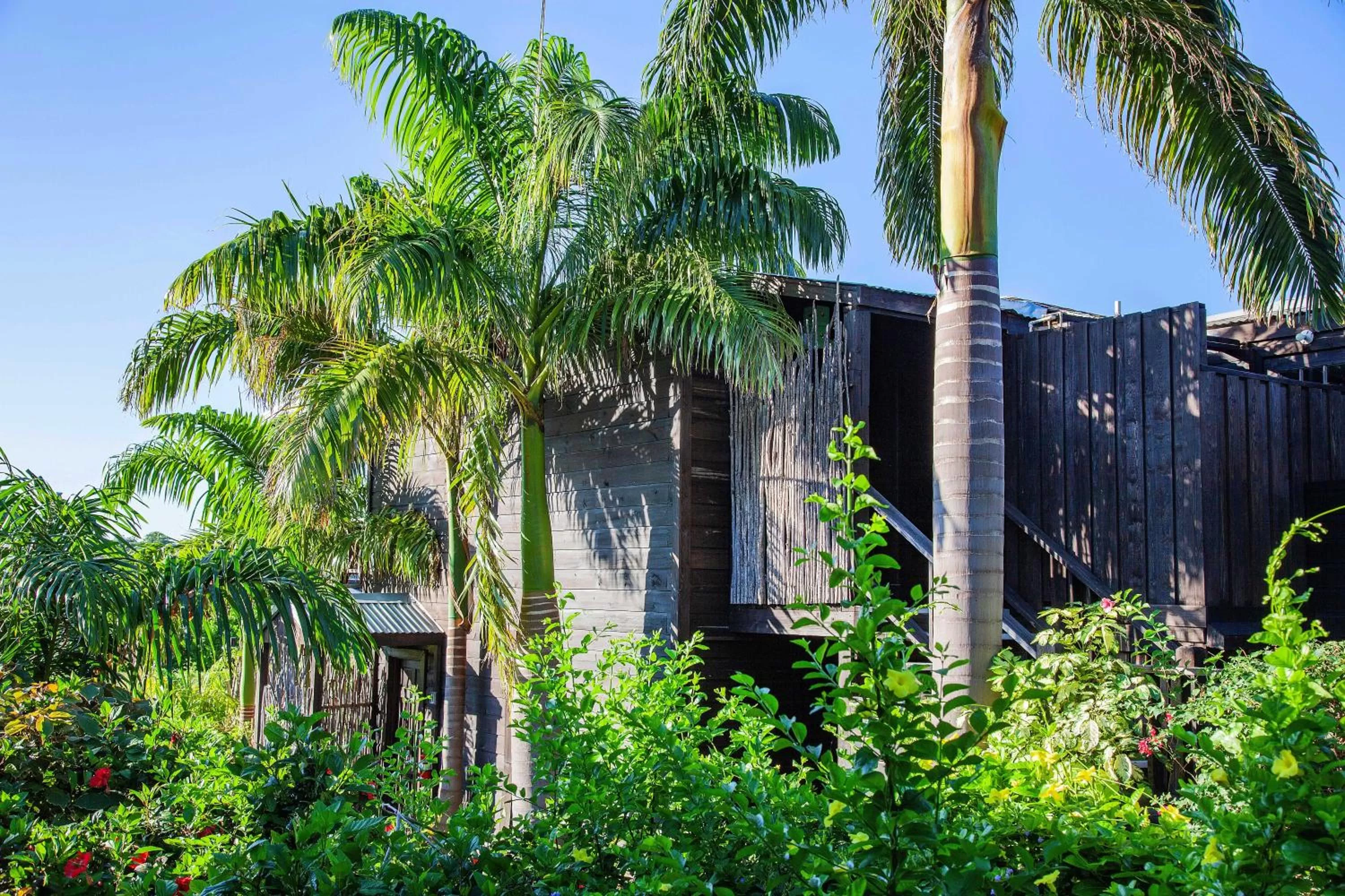 Beach House room in Keyonna Beach - All Inclusive - Couples Only