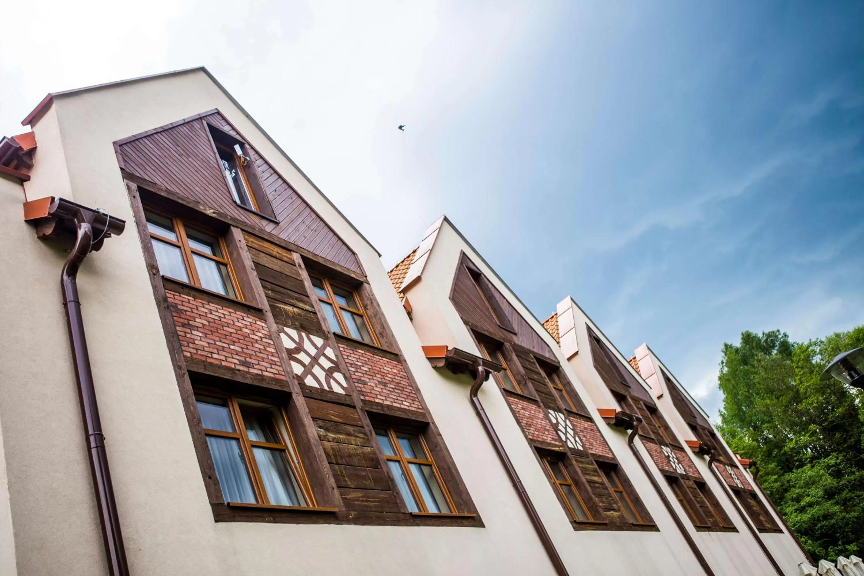 Garden view in Hotel Aubrecht Country Spa Resort