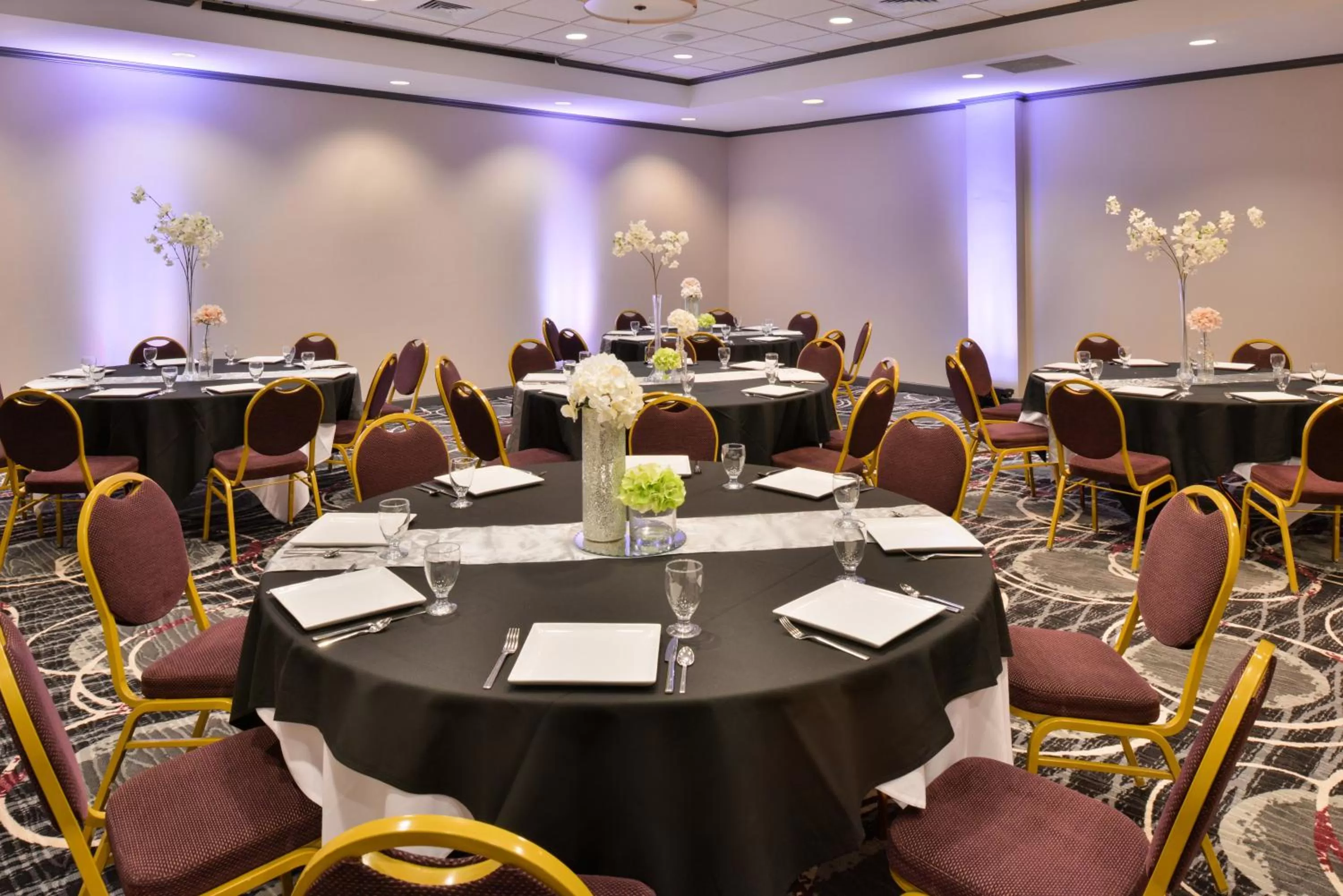 Banquet/Function facilities in Holiday Inn Kansas City Airport by IHG