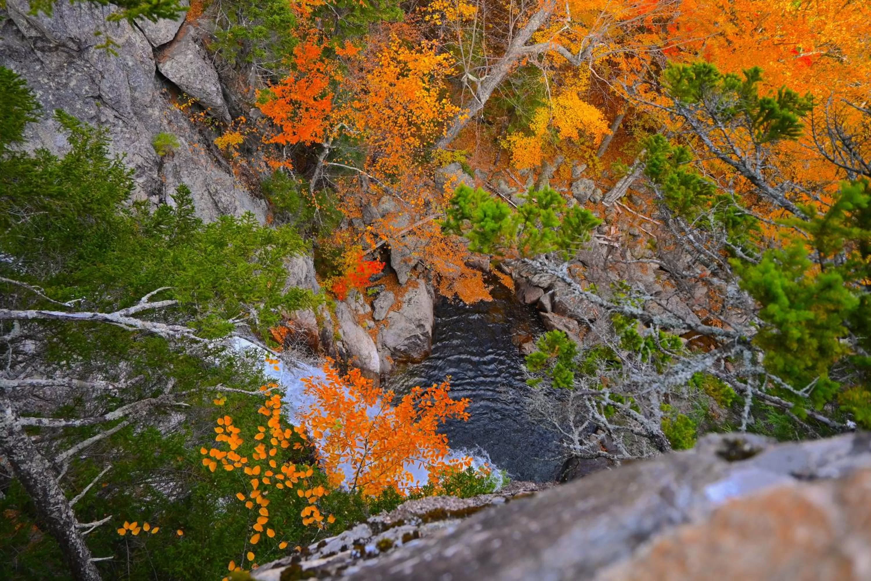 Natural landscape in The Lodge at Jackson Village