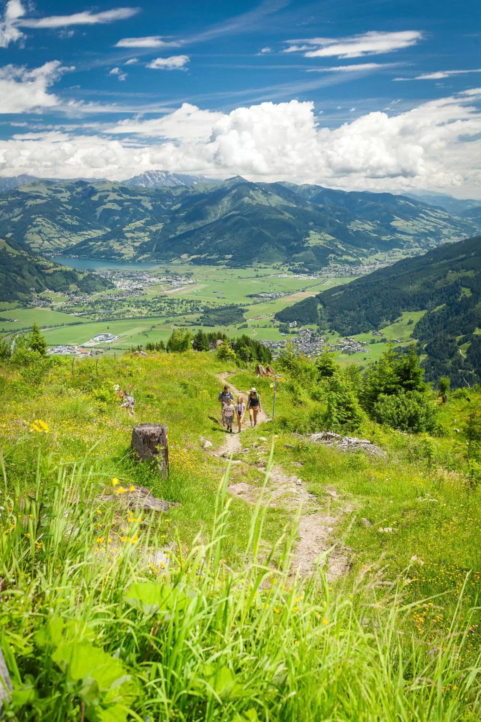 Summer in Auhof Wirtshaus & Suiten