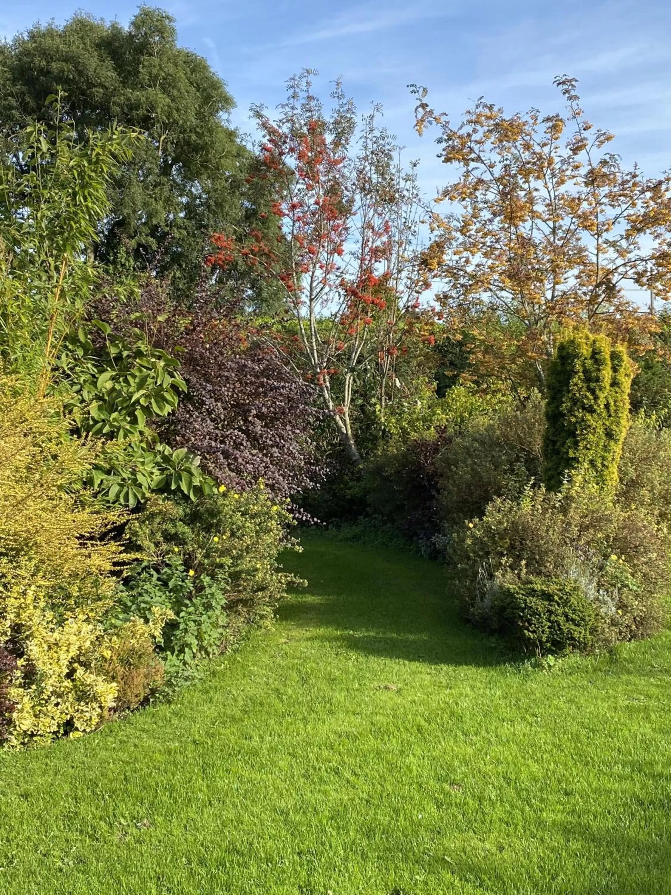Garden in The Hilltop Haven