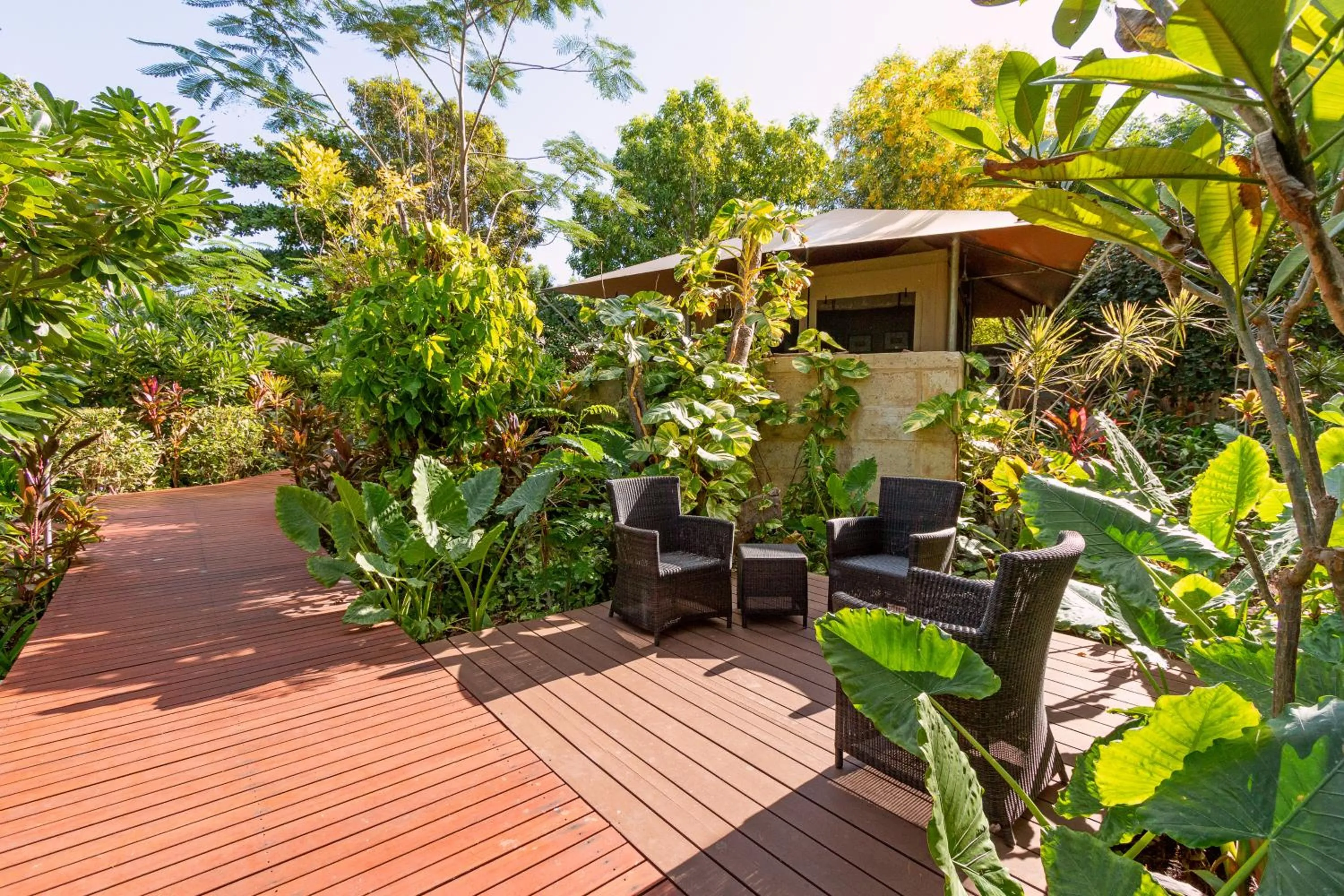 Garden view in The Billi Resort