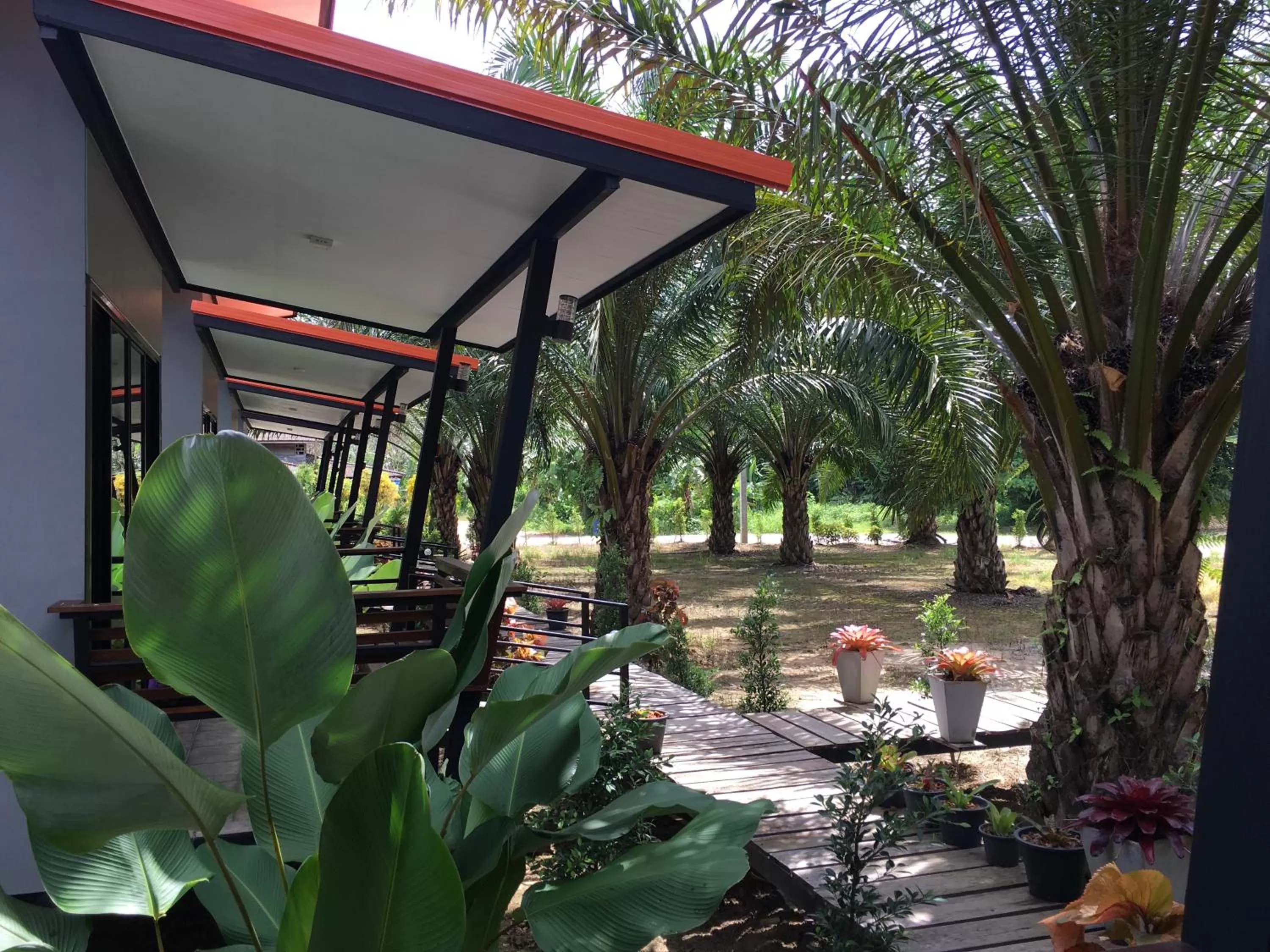 Natural landscape in Khao Sok Residence Resort