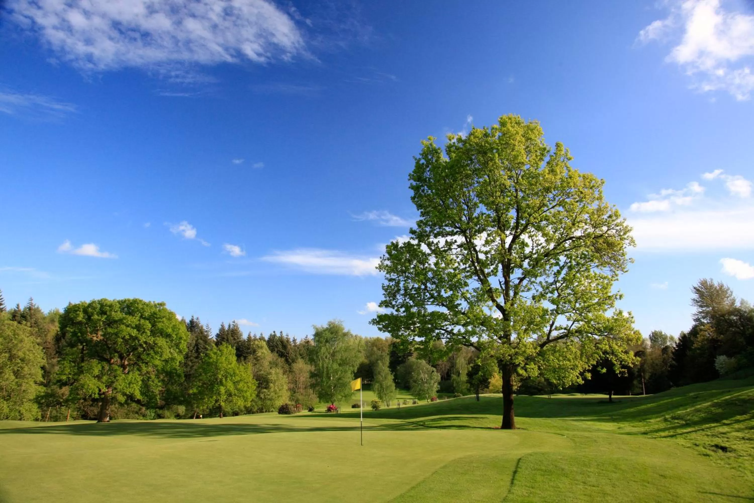 Golfcourse in Bowood Hotel, Spa, and Golf Resort