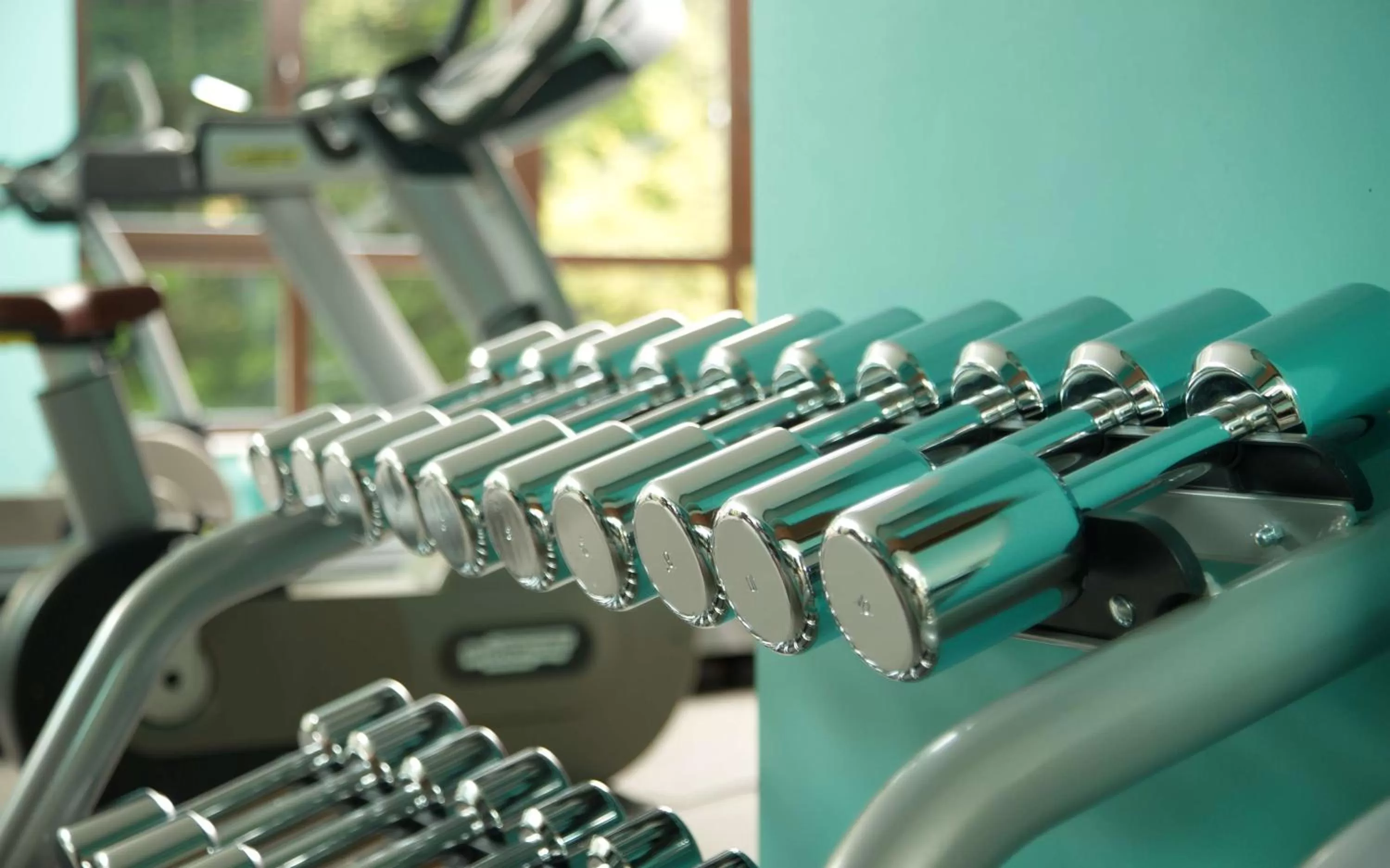 Fitness centre/facilities in Radisson Blu Plaza Delhi Airport