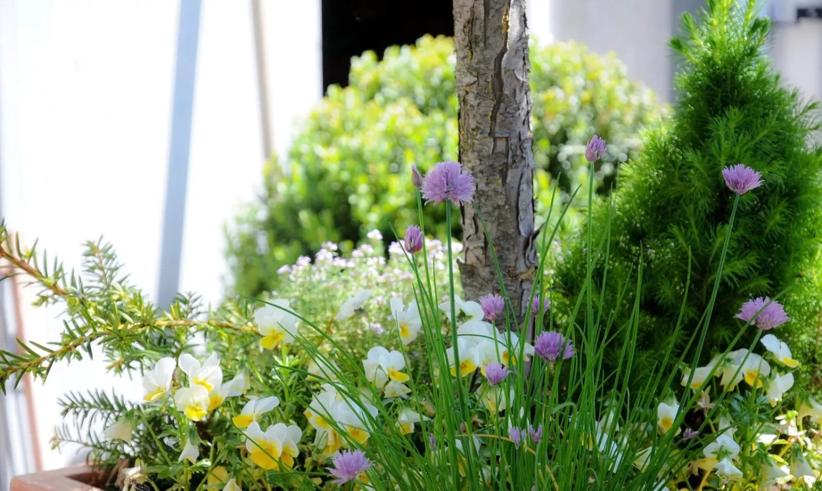 Patio in Am Zehntstadl Hotel & Sauna