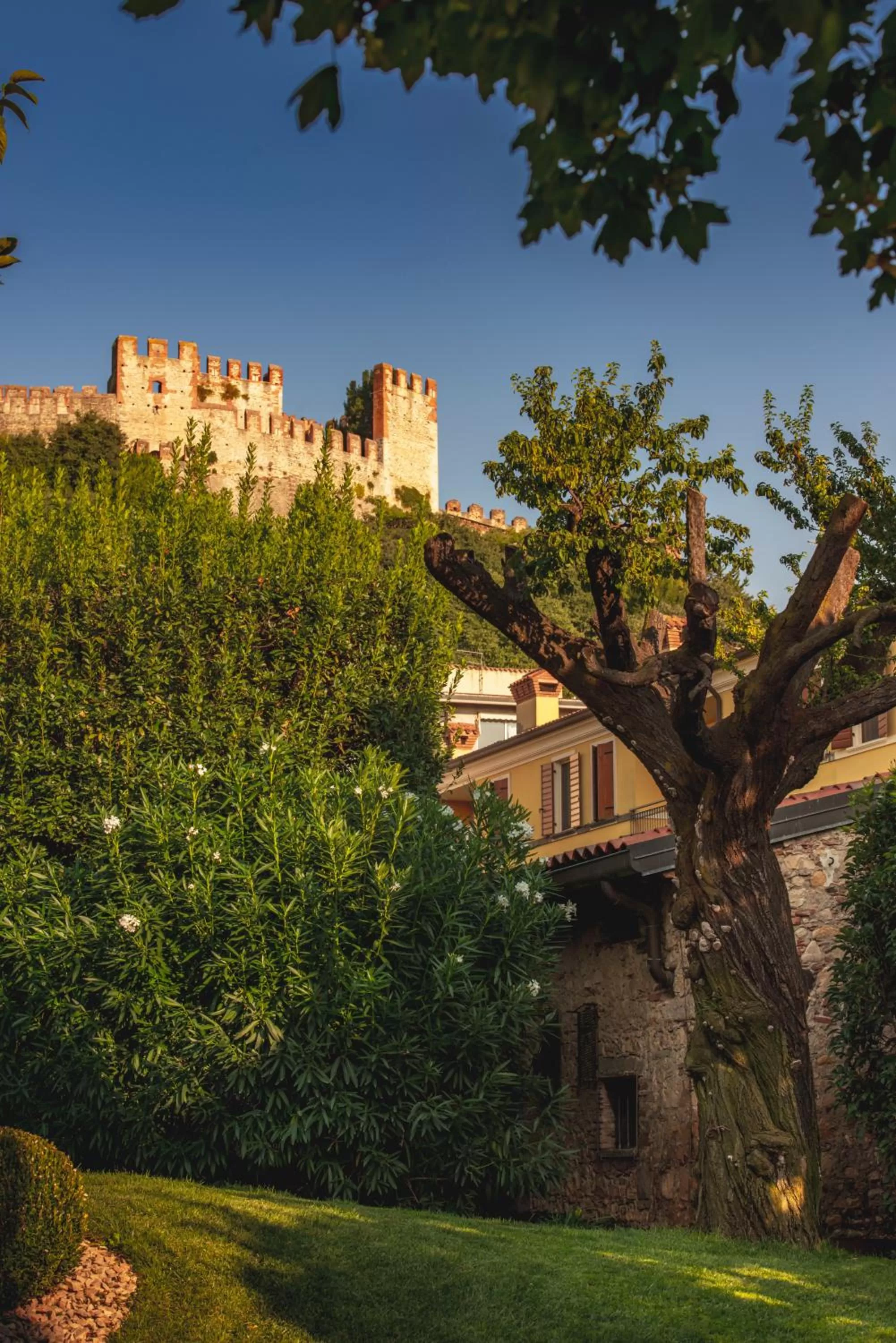 Garden view in Damaranto Residenza e Cucina