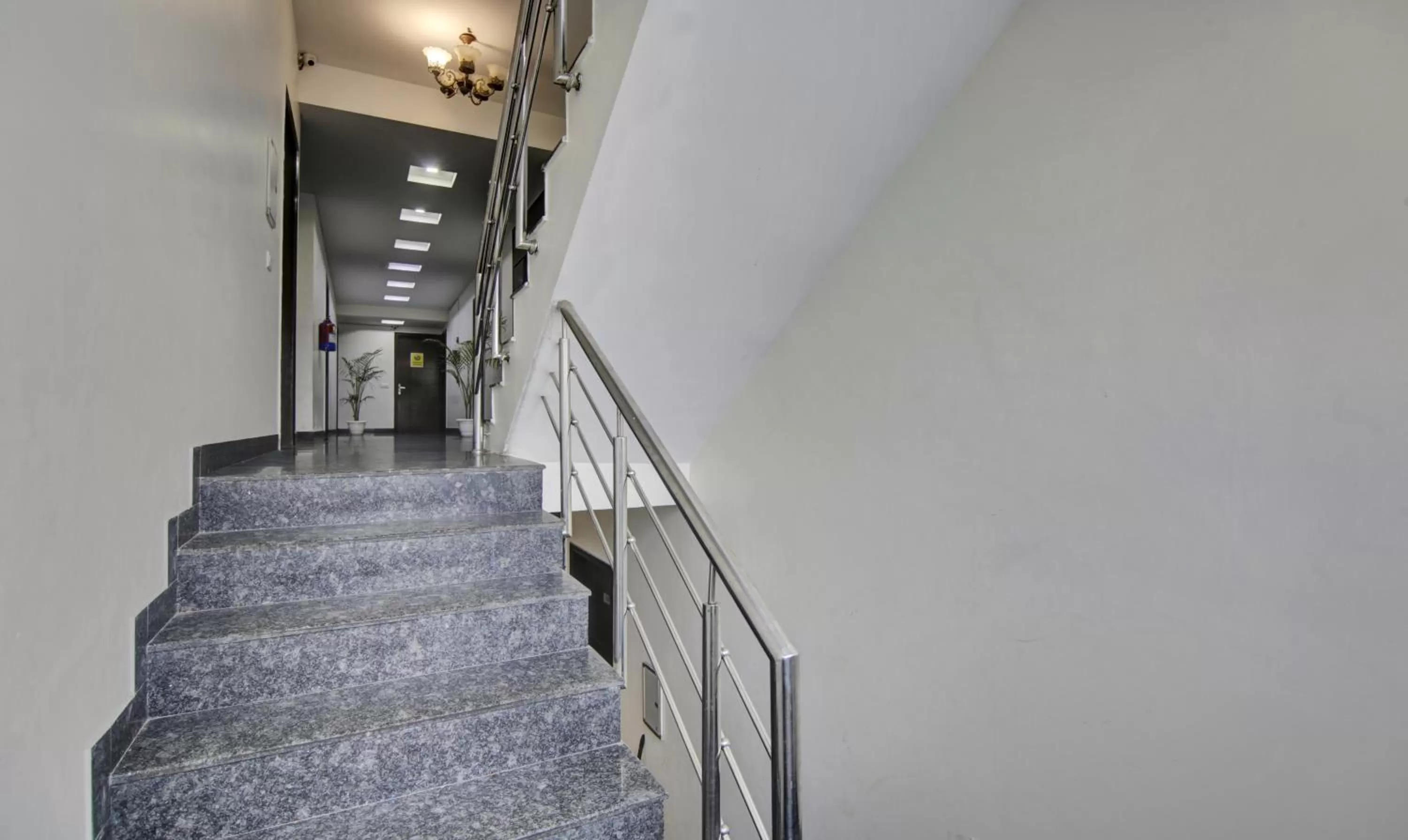 Treebo Trend Apple Pie