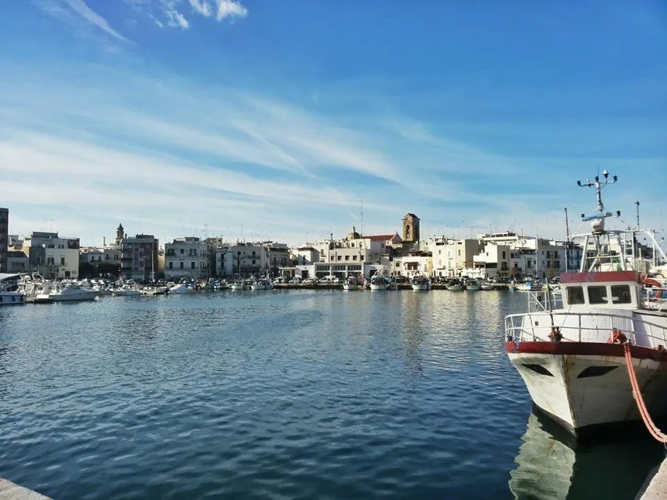 Entertainment in Hotel Gabbiano