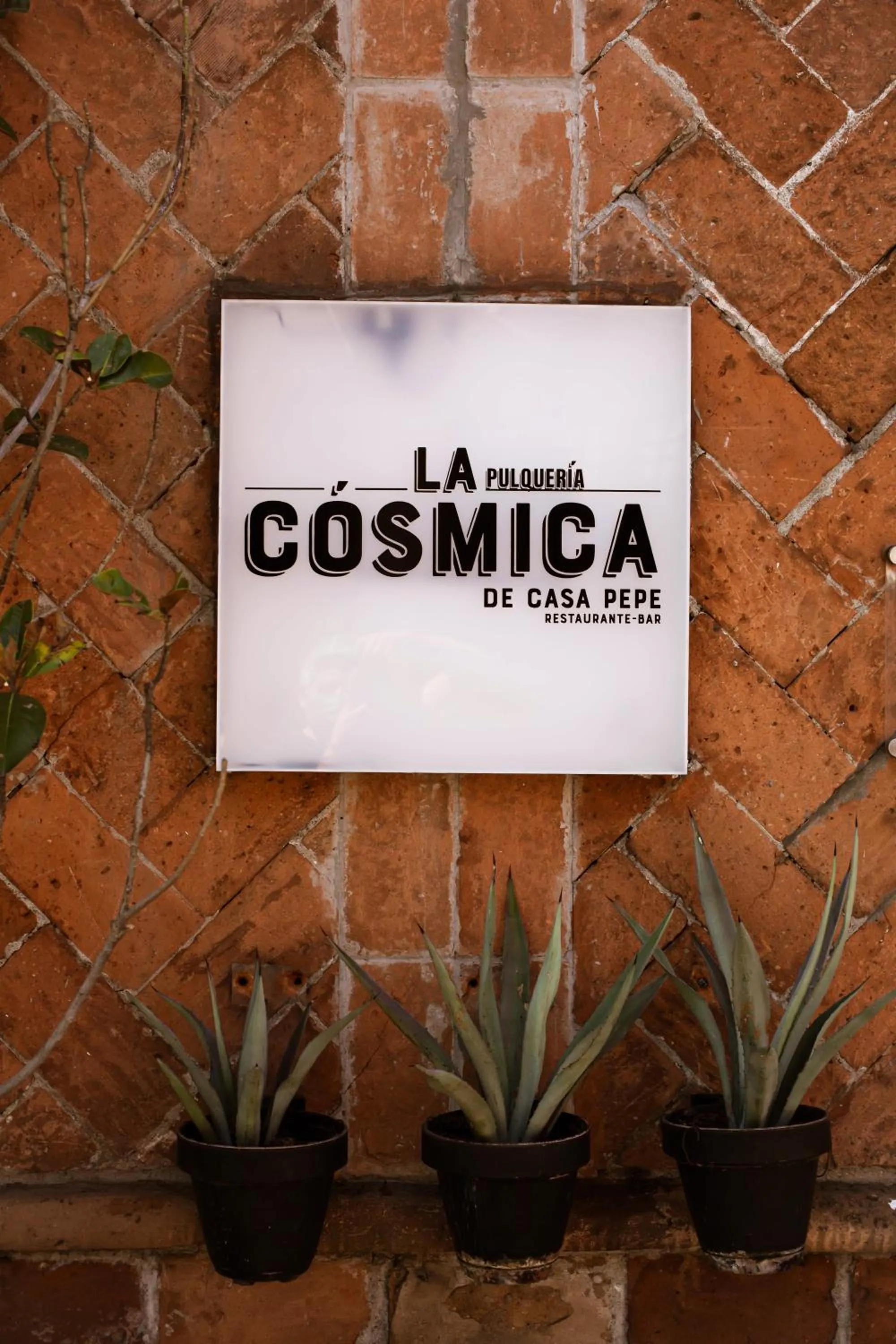 Restaurant/places to eat in Casa Pepe