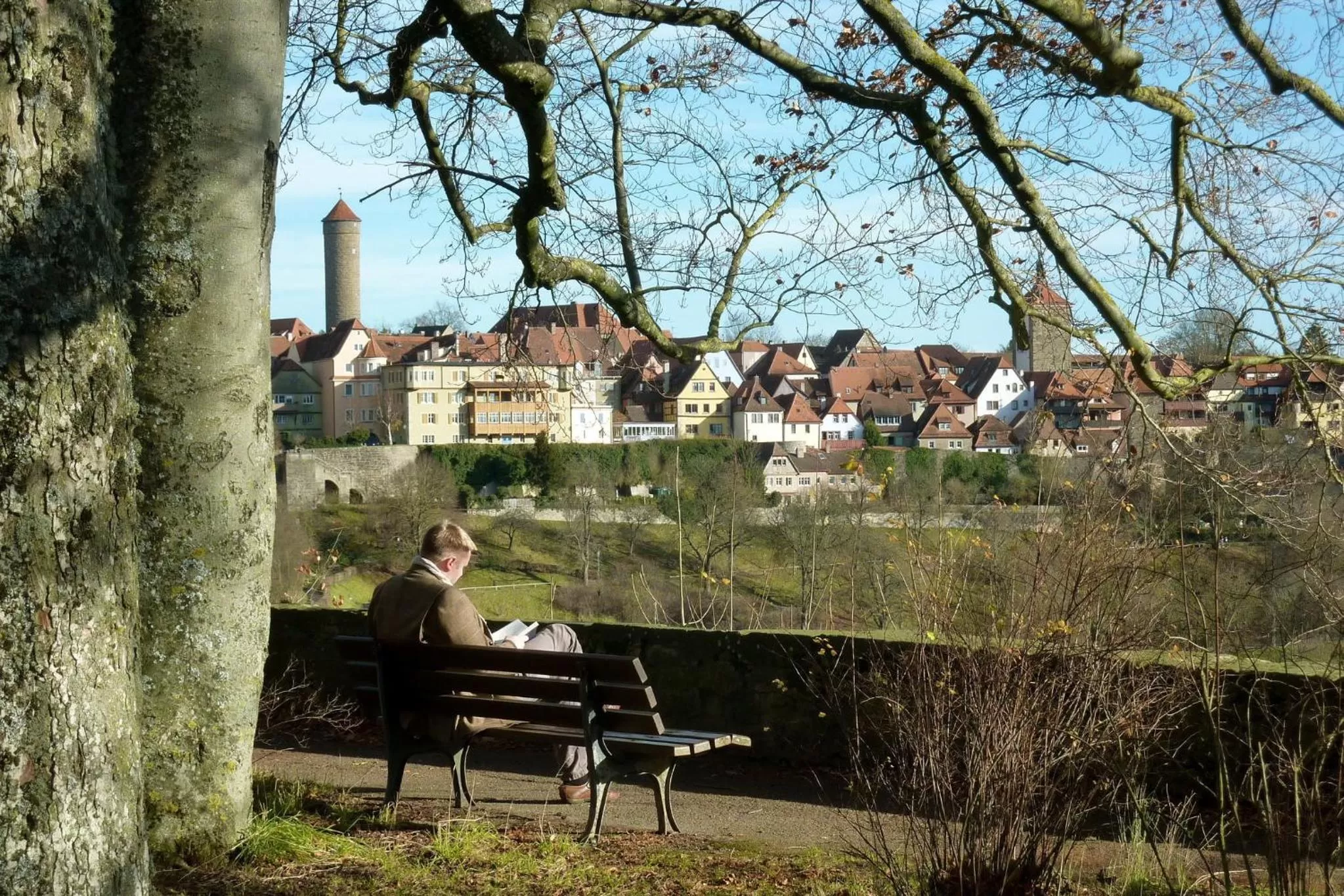 Natural landscape in Hotel Rappen Rothenburg ob der Tauber