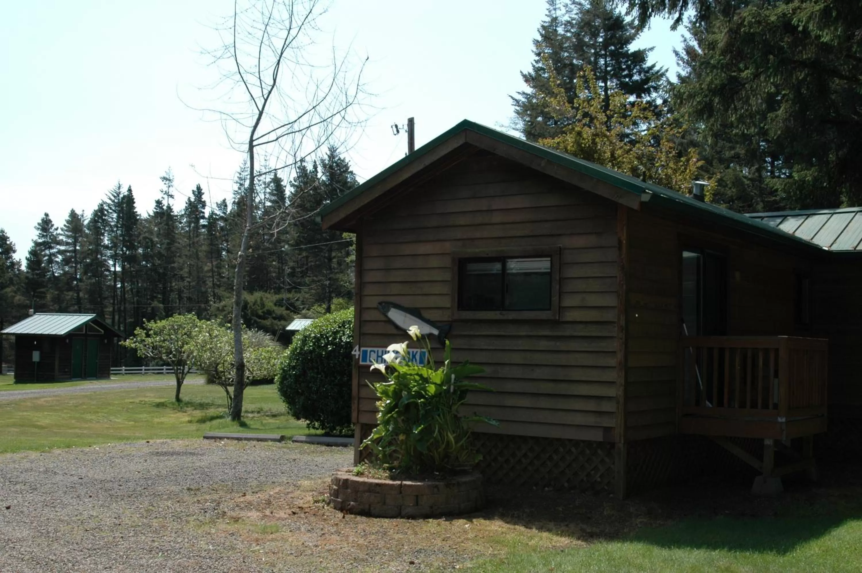 Park Motel and Cabins