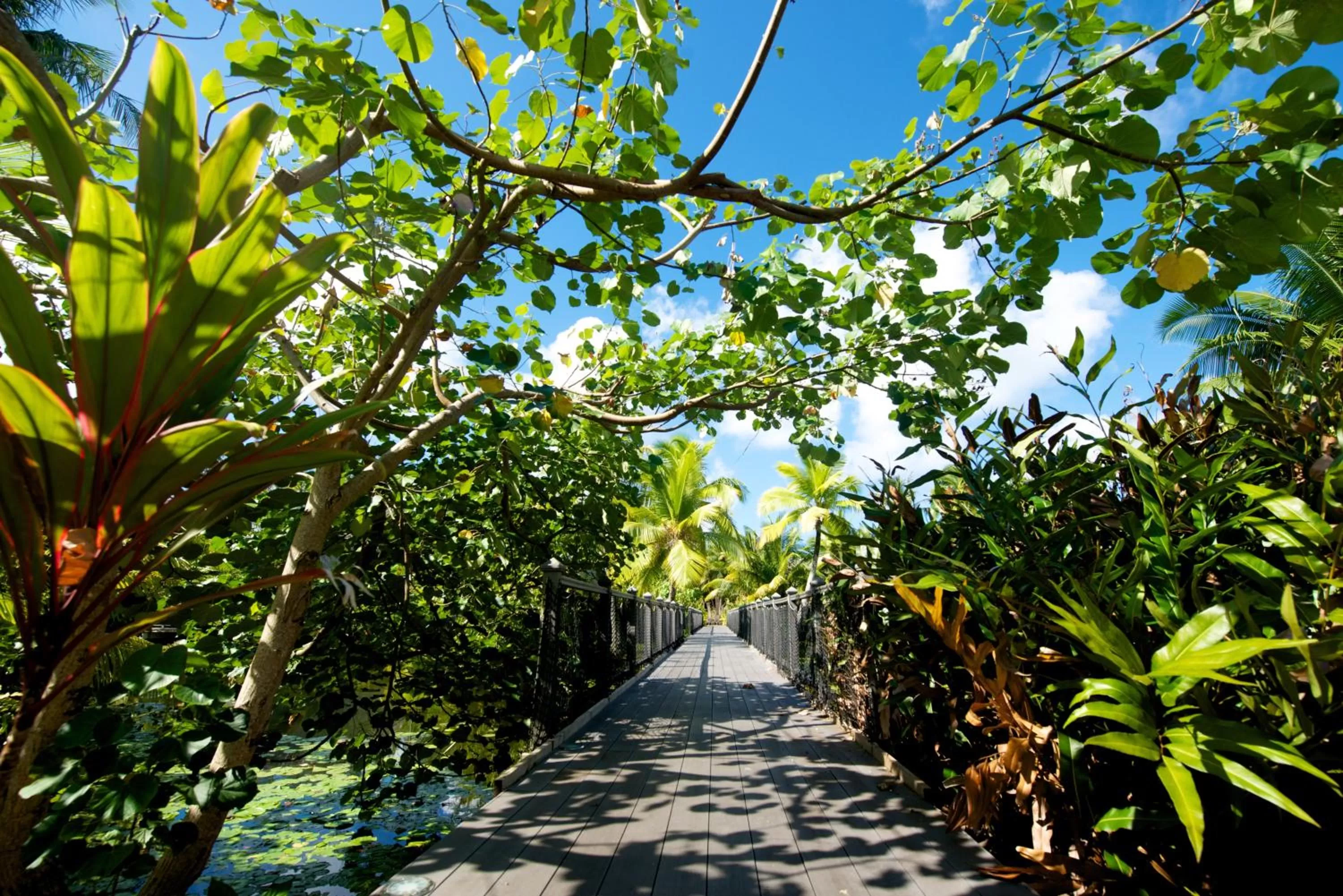 Facade/entrance in Maitai Lapita Village Huahine