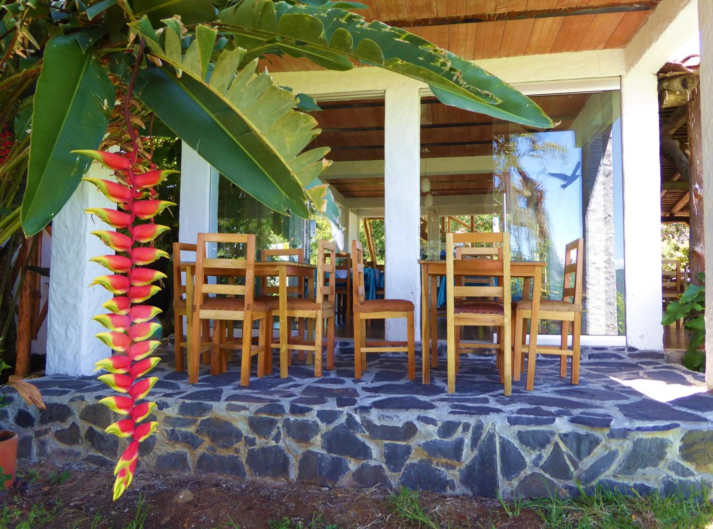 Restaurant/places to eat, Lounge/Bar in Finca El Cielo