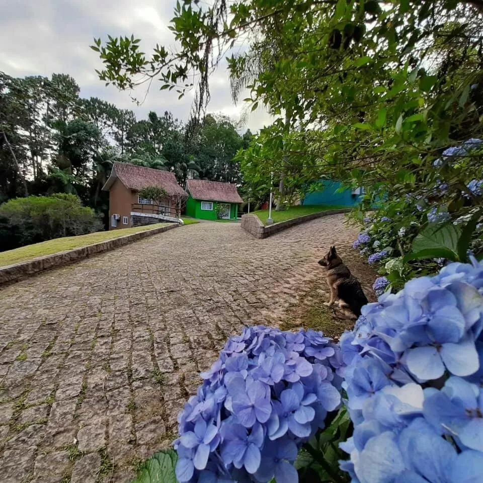 Pousada Vale Dos Figos