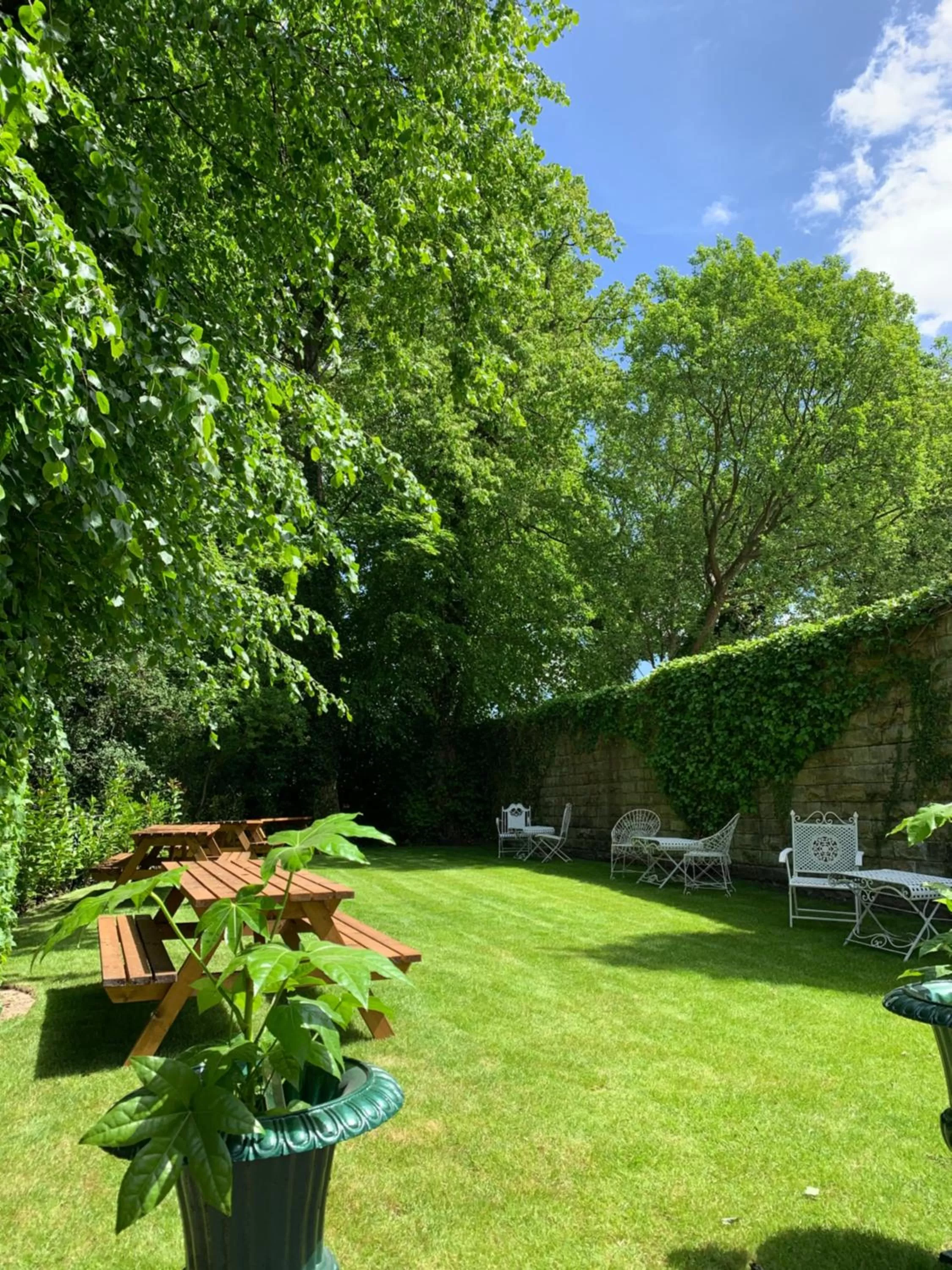 Garden in Rosehill House Hotel
