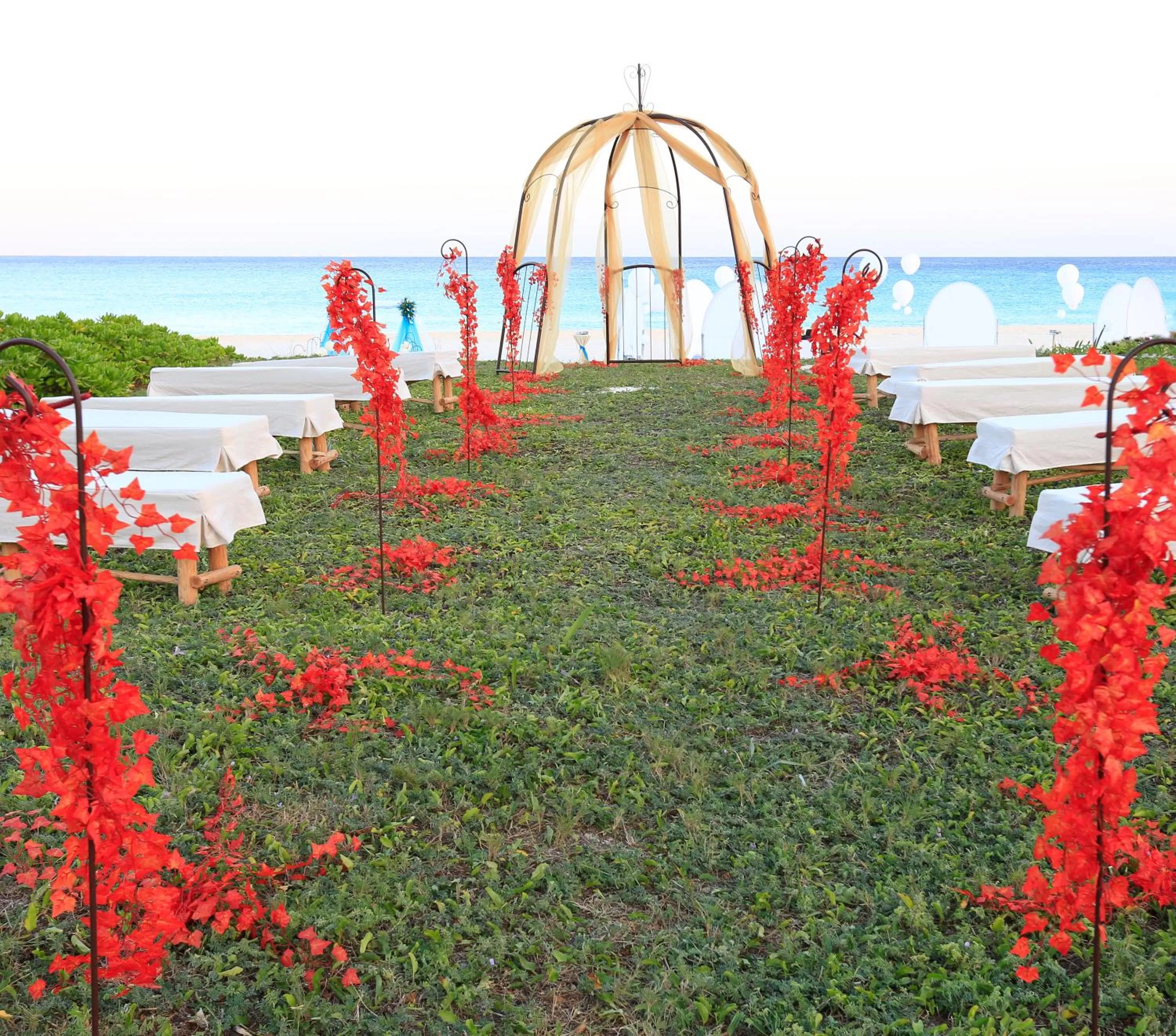 Natural landscape in Sandos Playacar All Inclusive