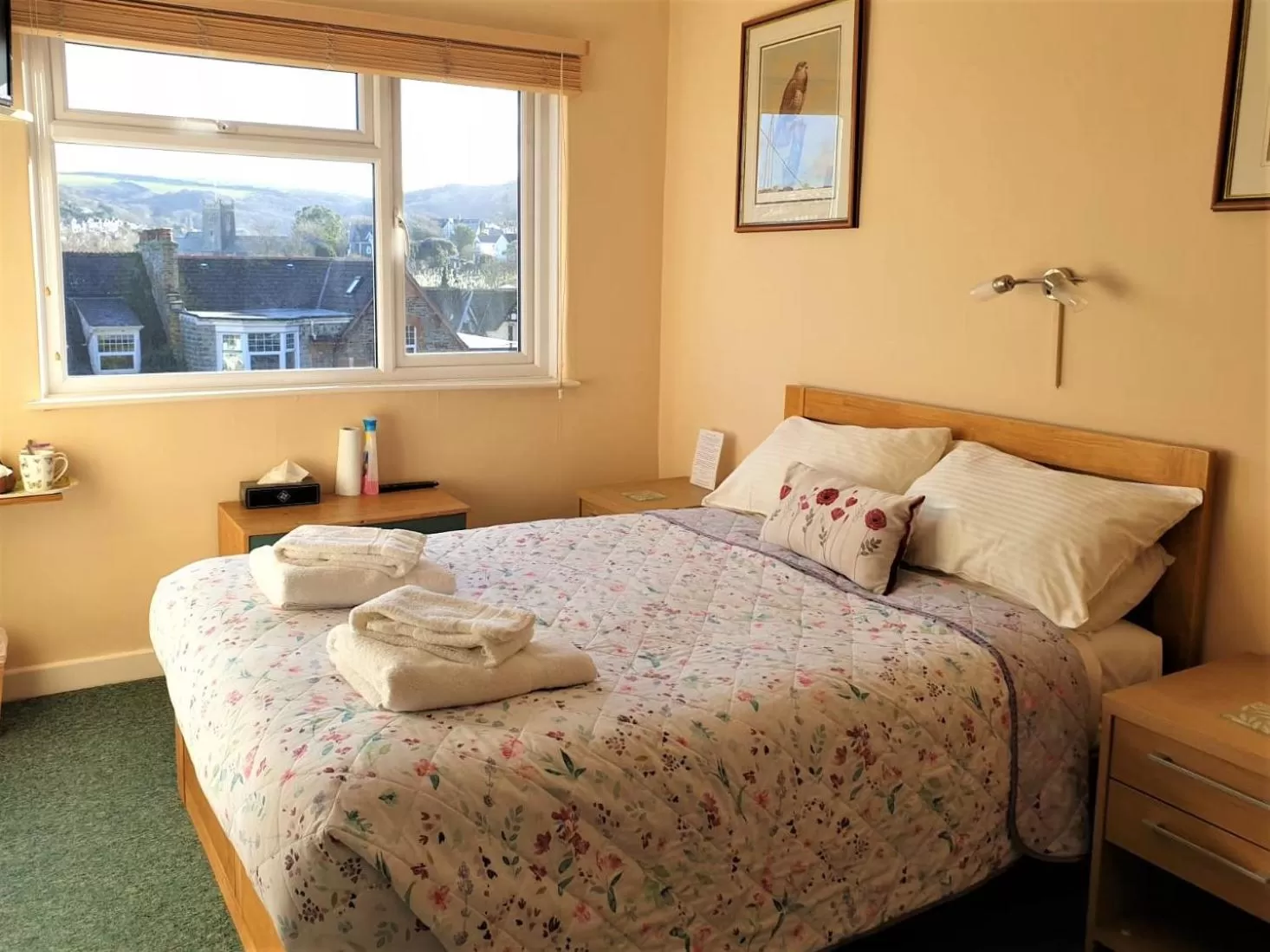 Double Room with Private Bathroom - single occupancy in Avoncourt Lodge