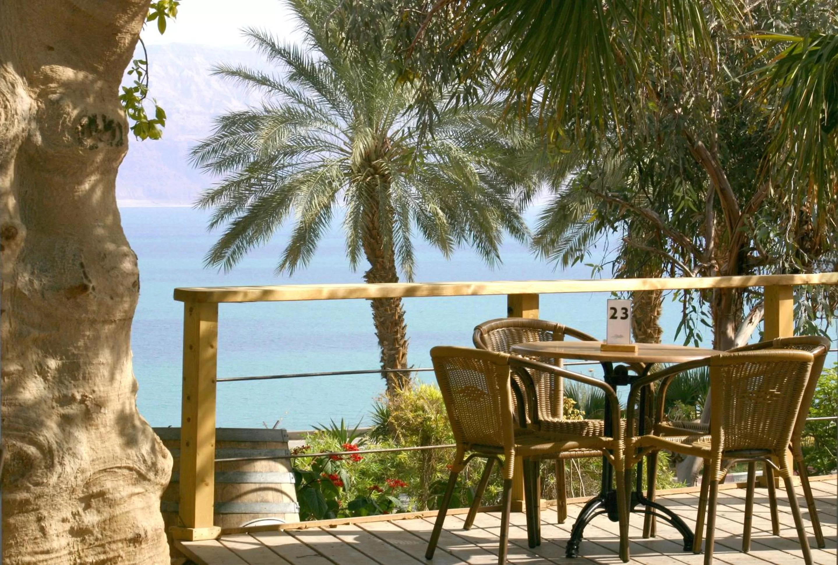 Balcony/Terrace in Ein Gedi Kibbutz Hotel