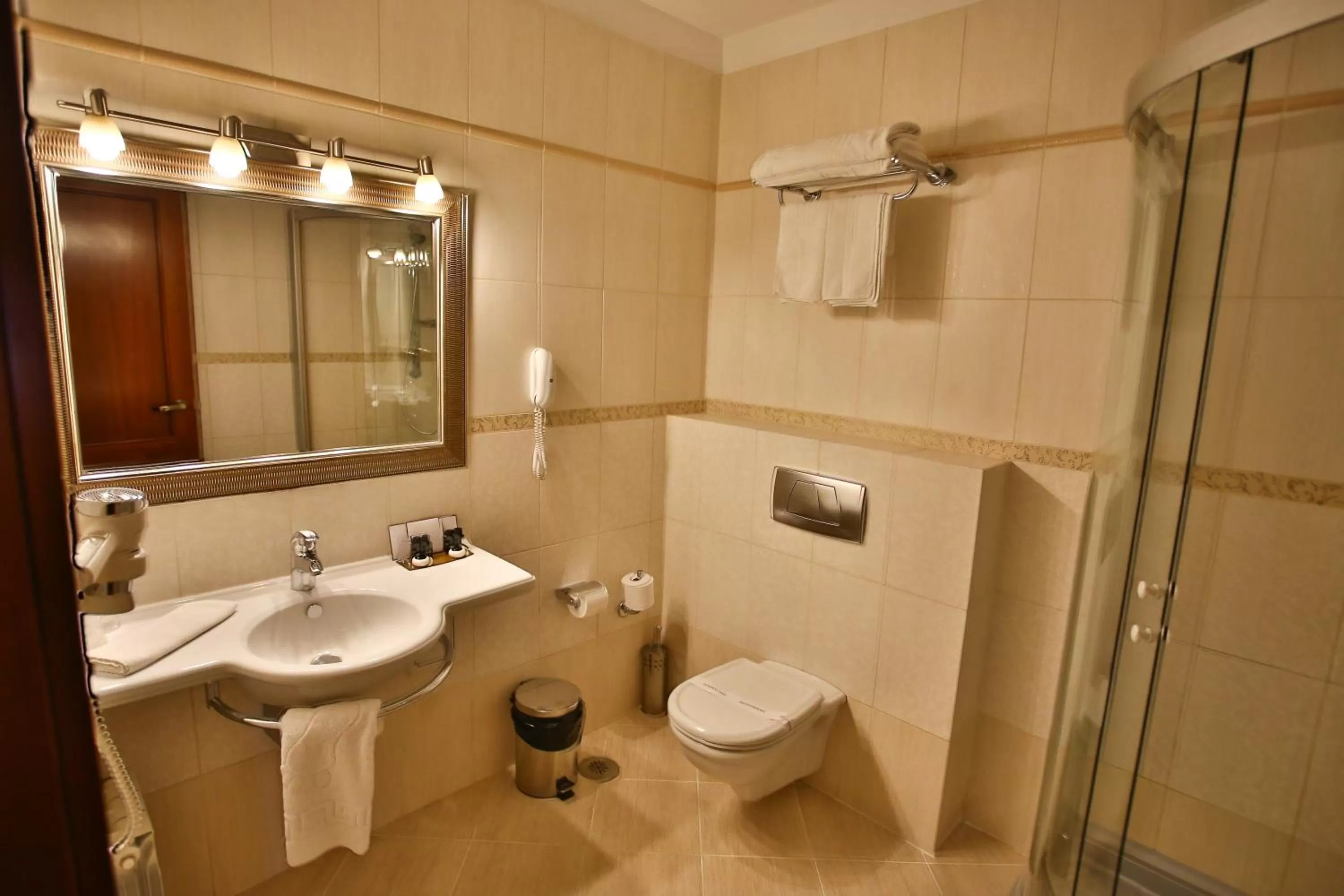 Toilet, Bathroom in Hotel Select