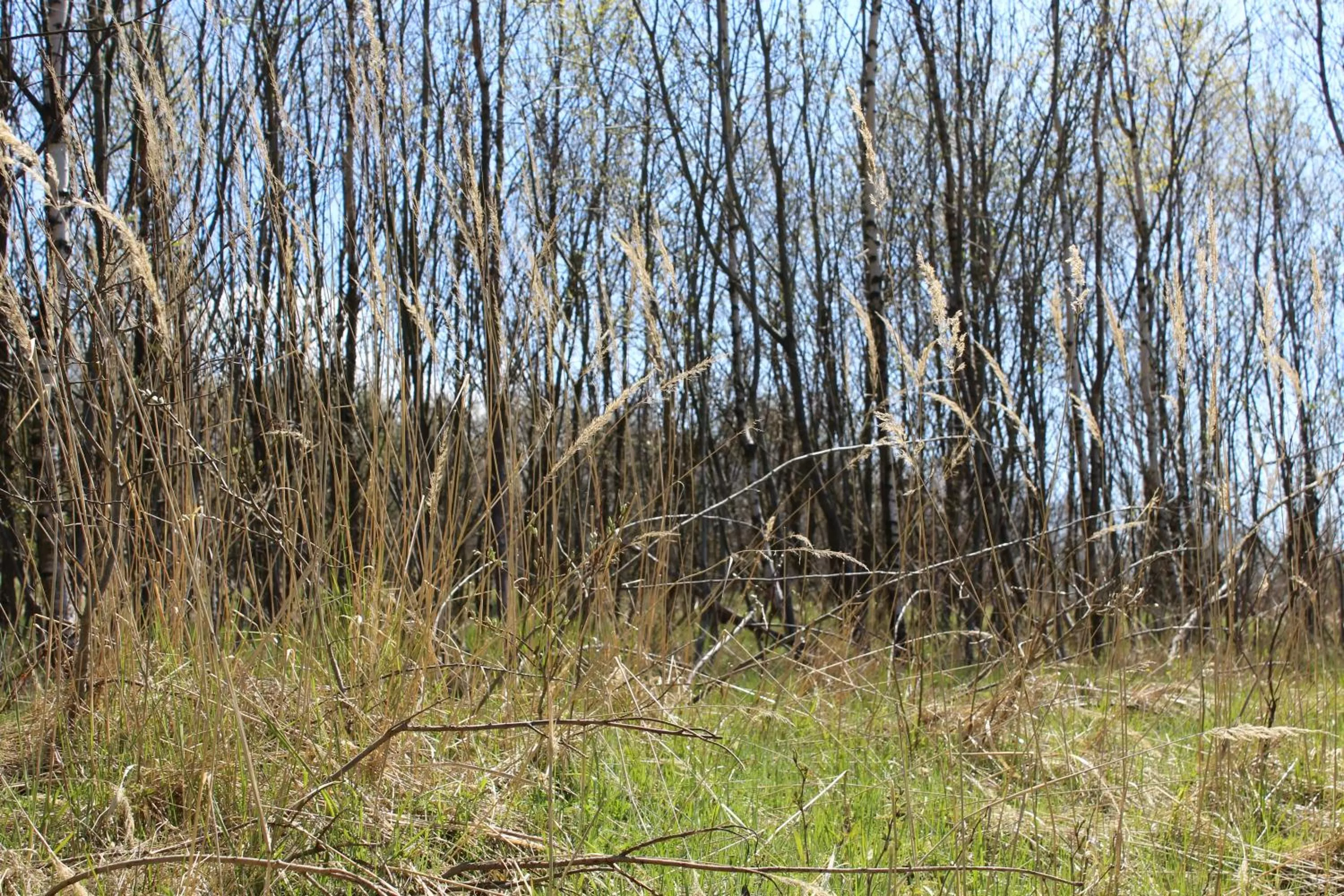 Natural Landscape in Waldgasthof Bad Einsiedel