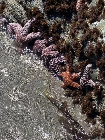 Day in AmeriCoast Inn