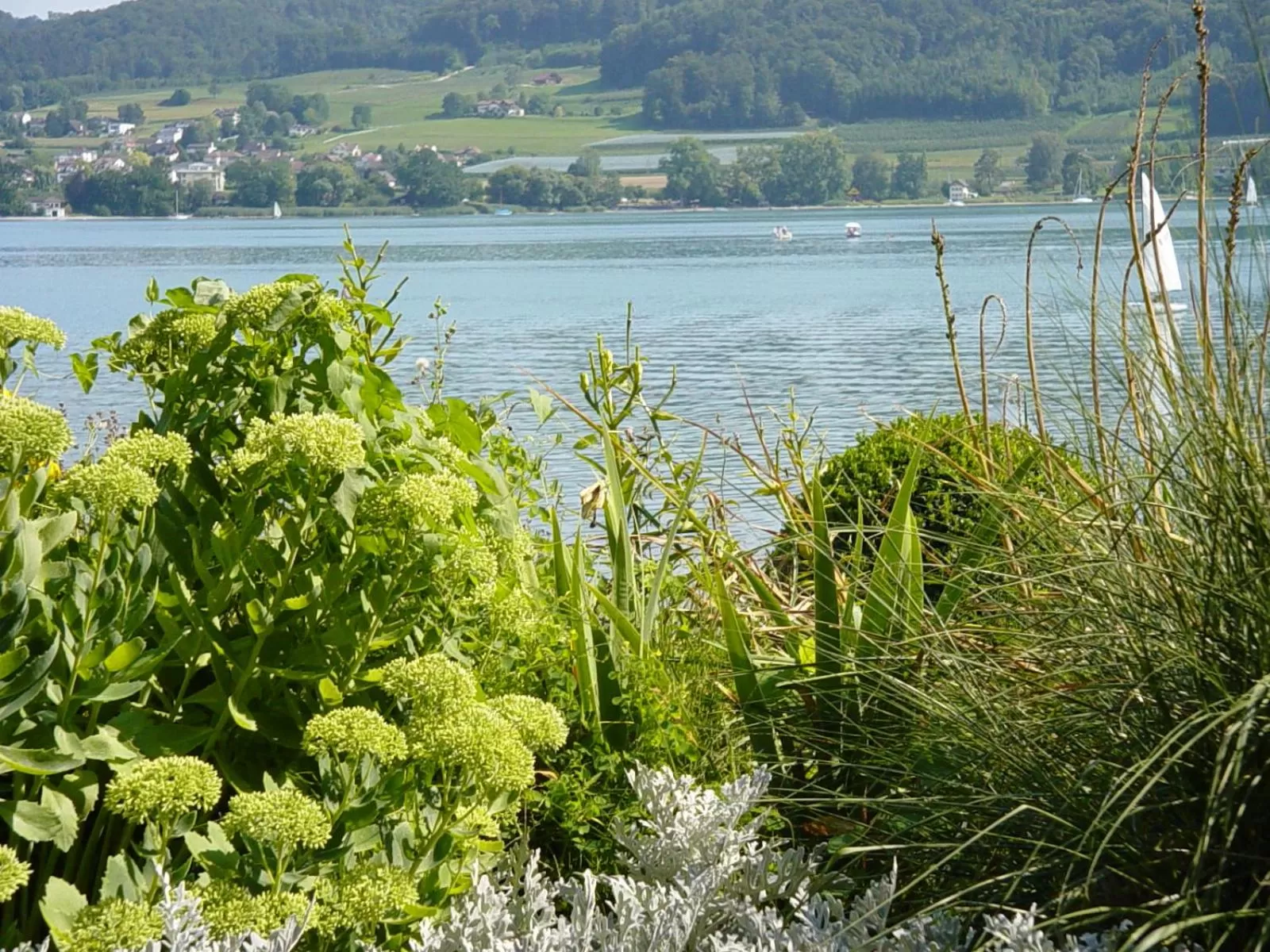 Lake view in Hotel Krone
