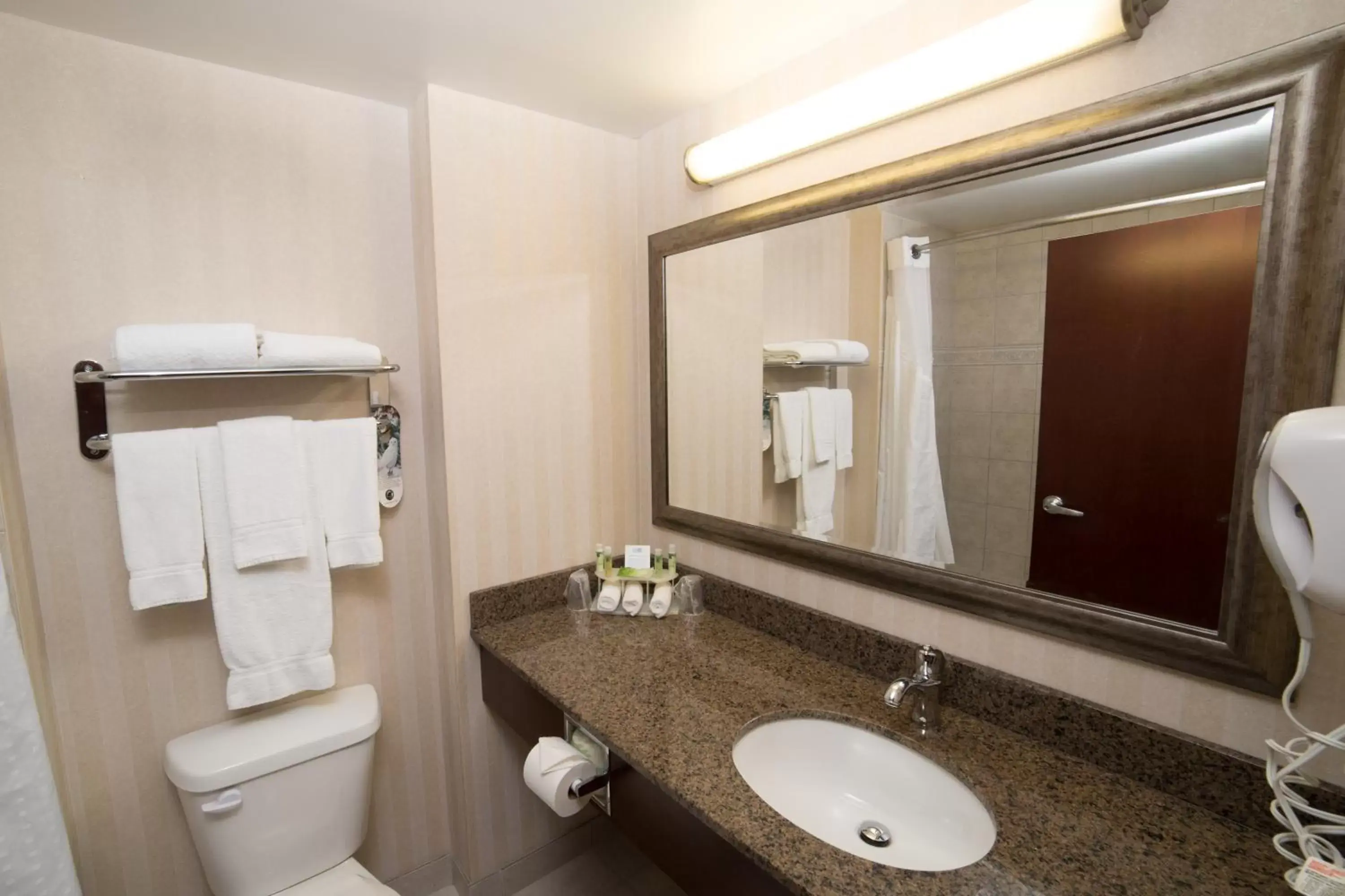 Standard Room with Two Queen Beds in Holiday Inn Express & Suites Whitecourt by IHG Standard Room with Two Queen Beds in Holiday Inn Express & Suites Whitecourt by IHG