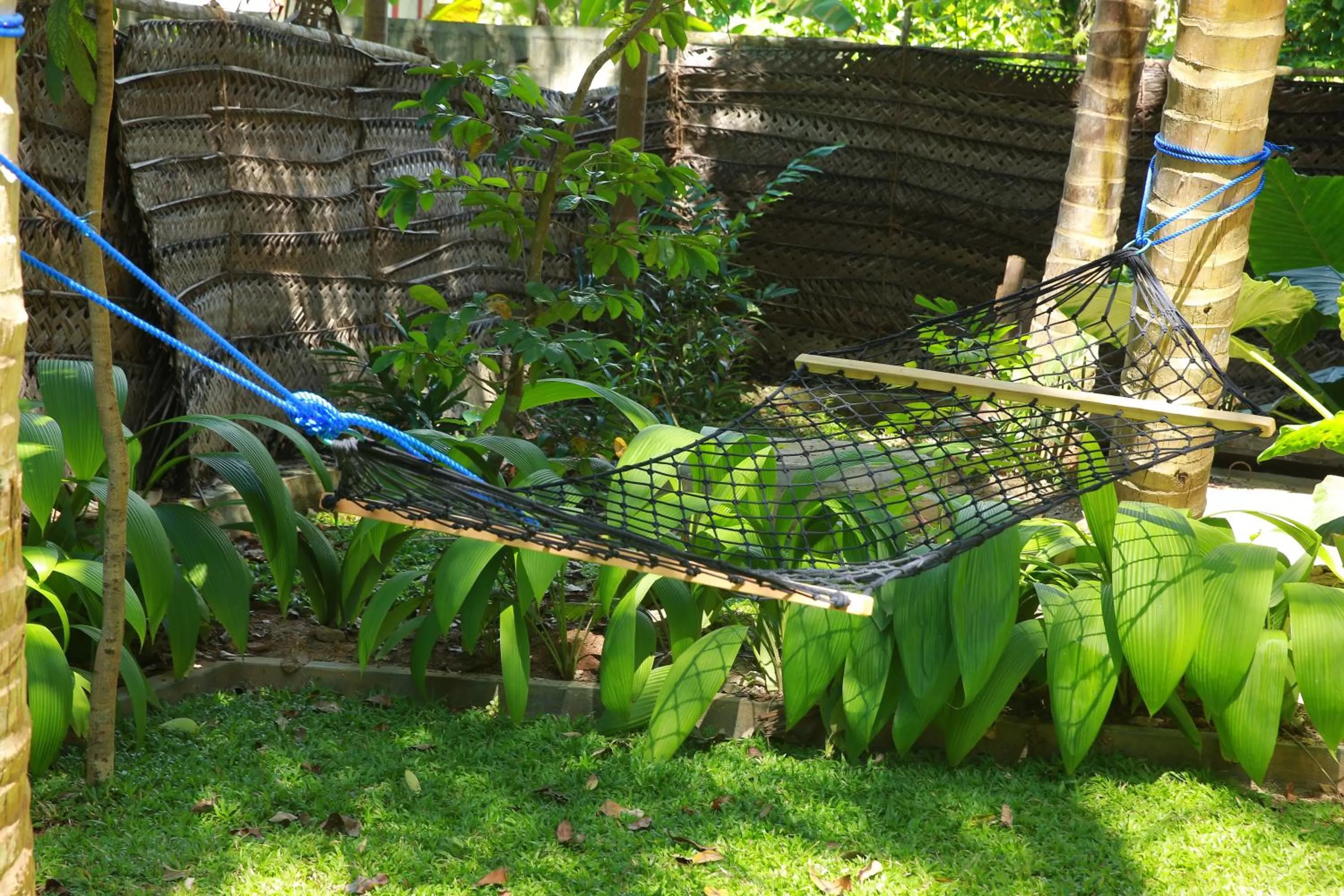 Property building in Limecabanas-srilanka