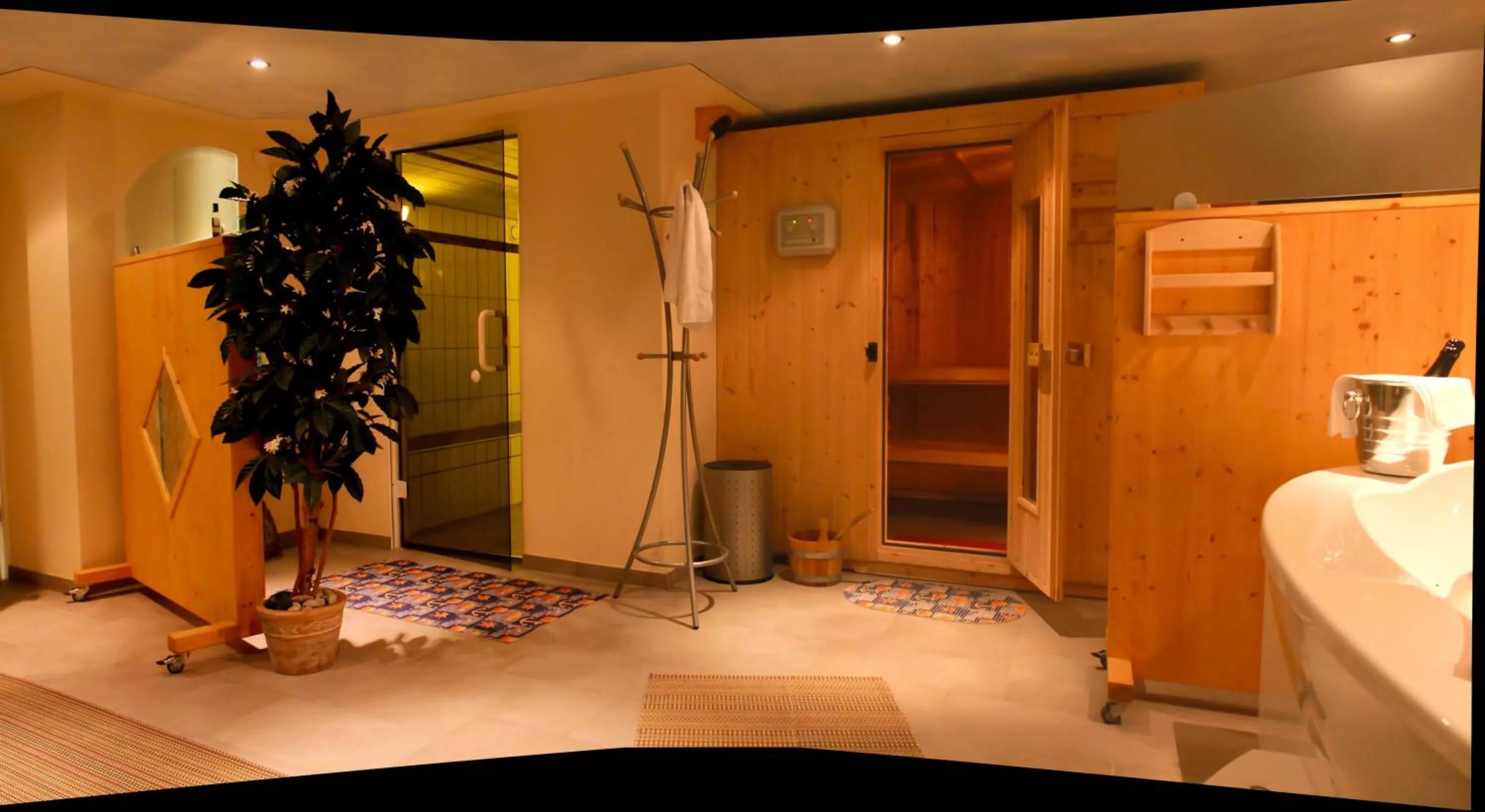 Spa and wellness centre/facilities in Hotel-Restaurant Fröhlich