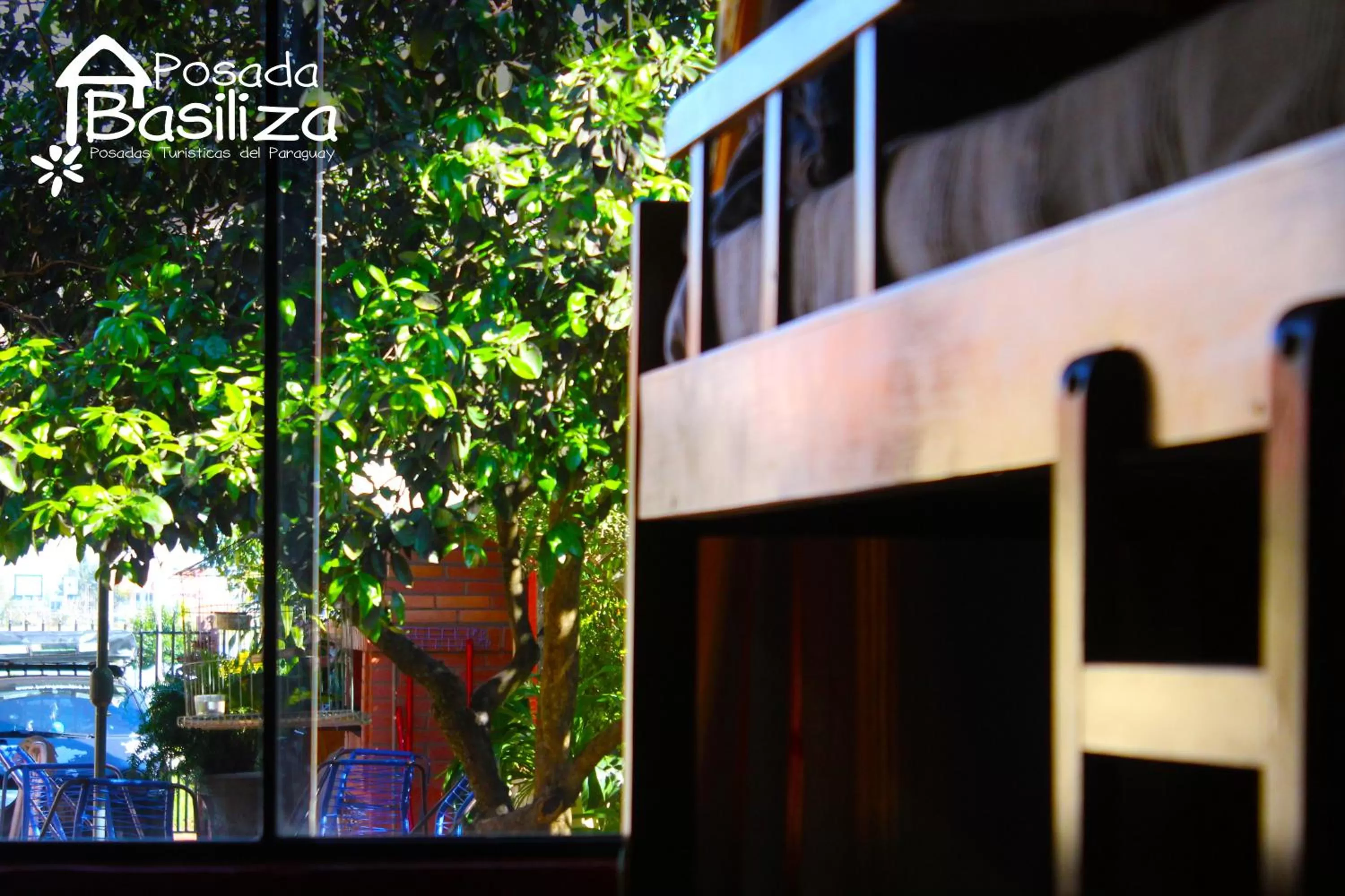 Garden view in Posada Basiliza, Encarnación PY