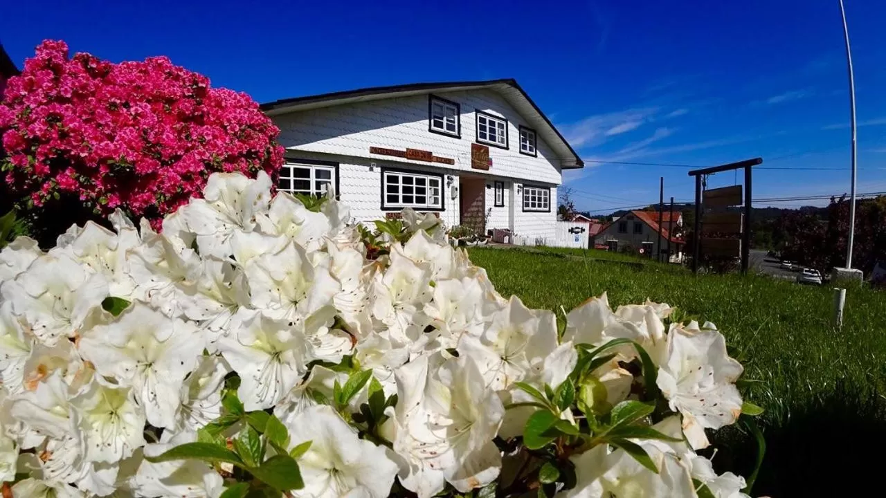 Property Building in Hostal Triwe