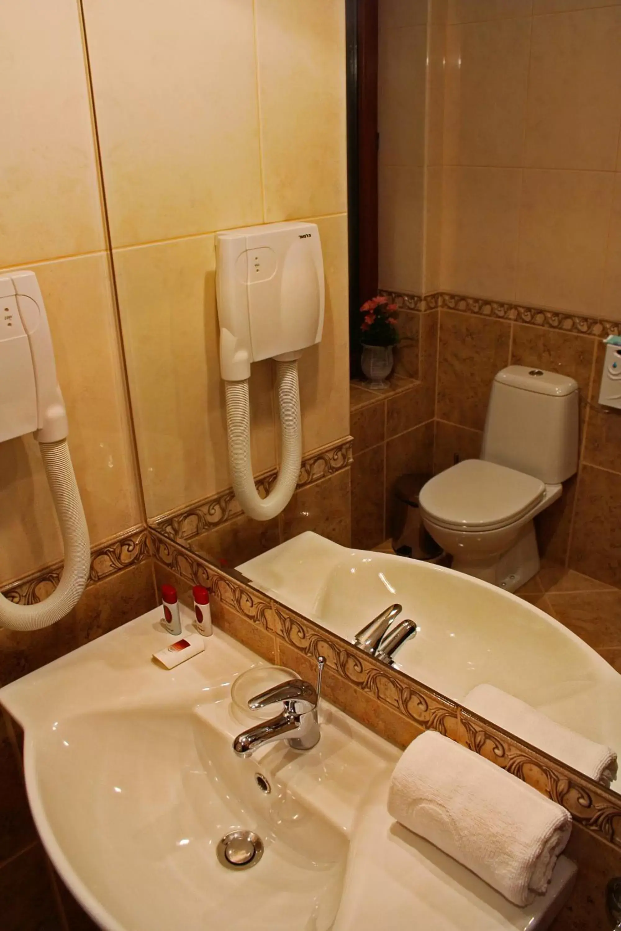 Single Room in Chateau Montagne Hotel Troyan Single Room in Chateau Montagne Hotel Troyan